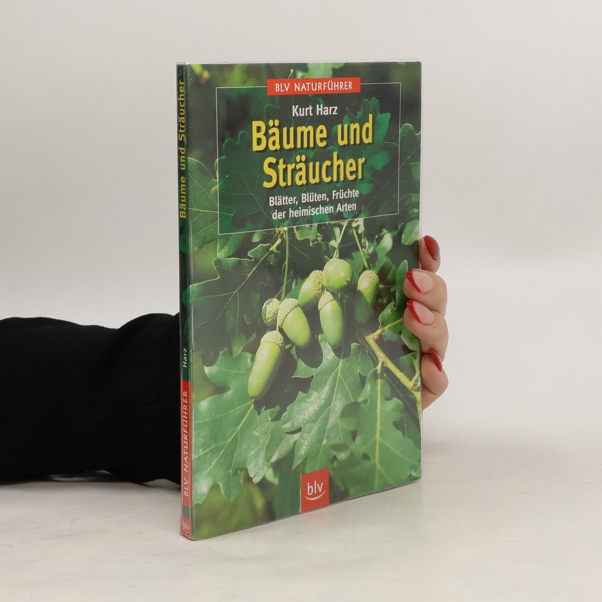 Bäume und Sträucher