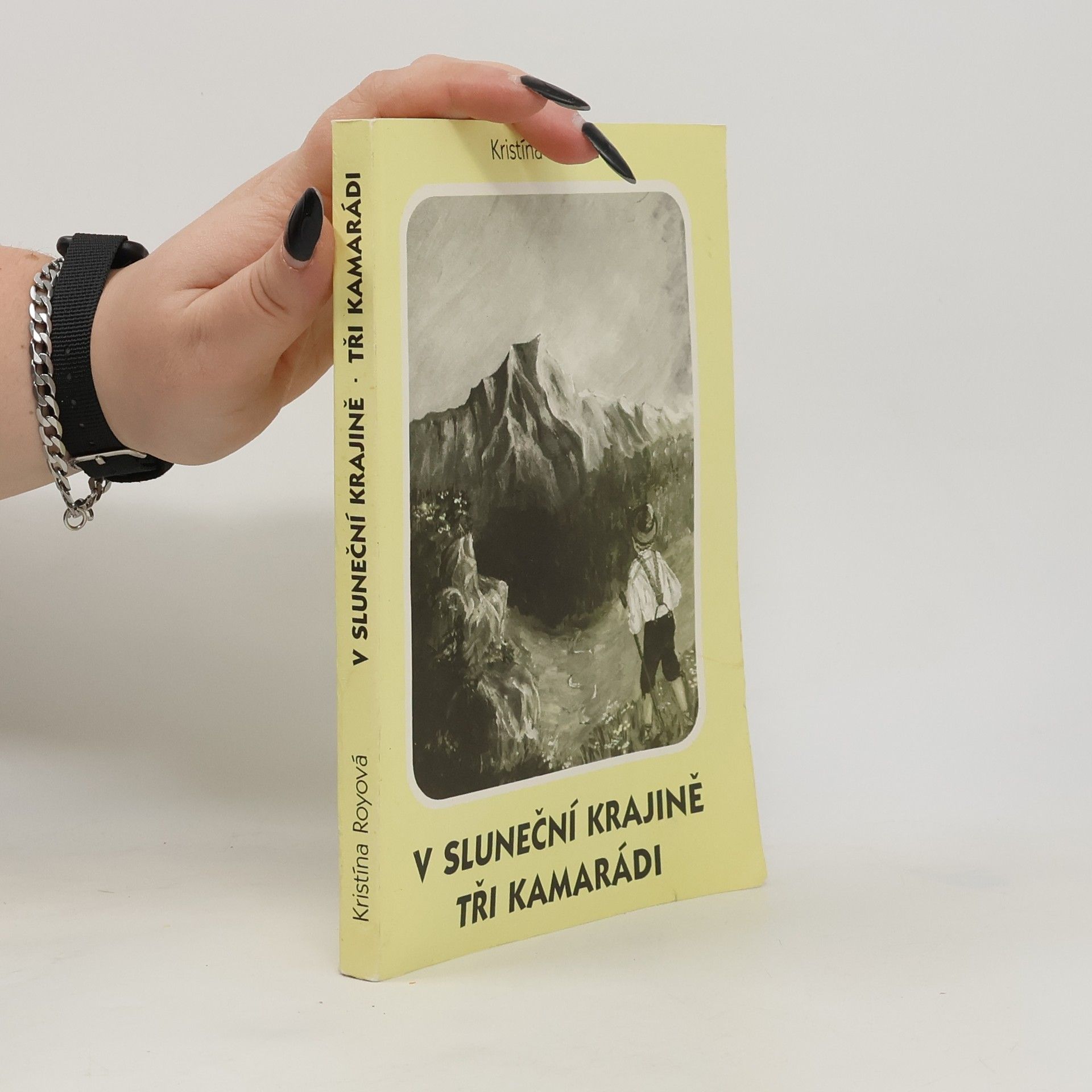 V sluneční krajině. Tři kamarádi