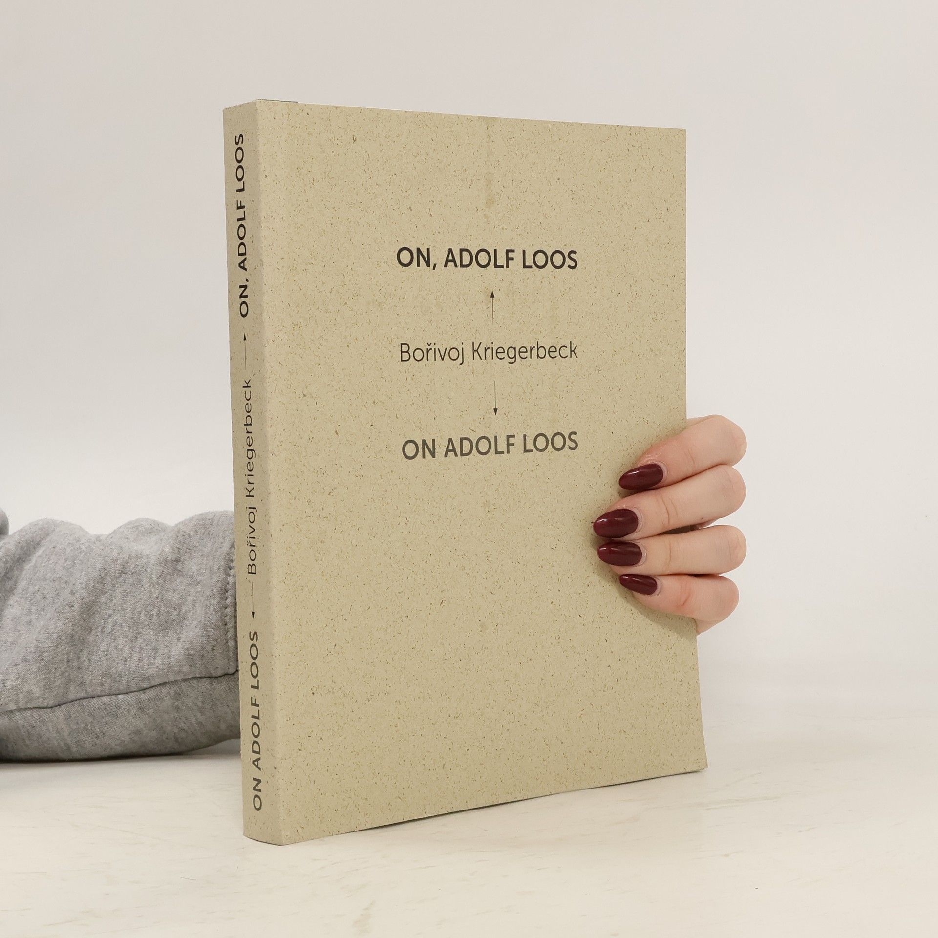 Autorenkollektiv Brno v minulosti a dnes 33