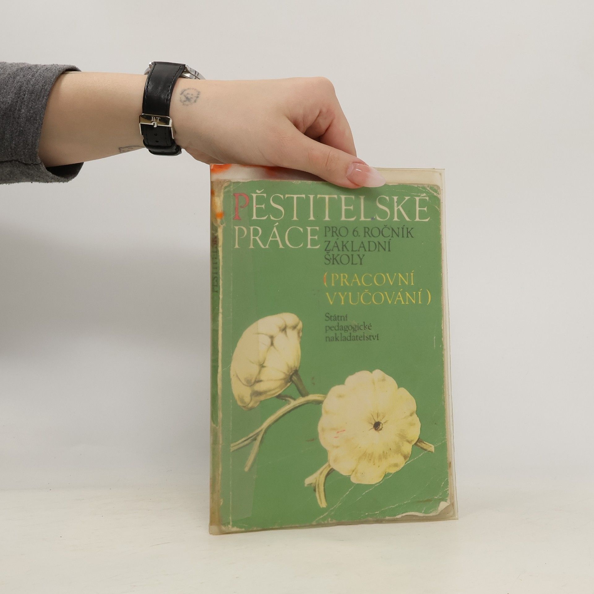 Collectif d'auteurs Pěstitelské práce pro 6. ročník základní školy