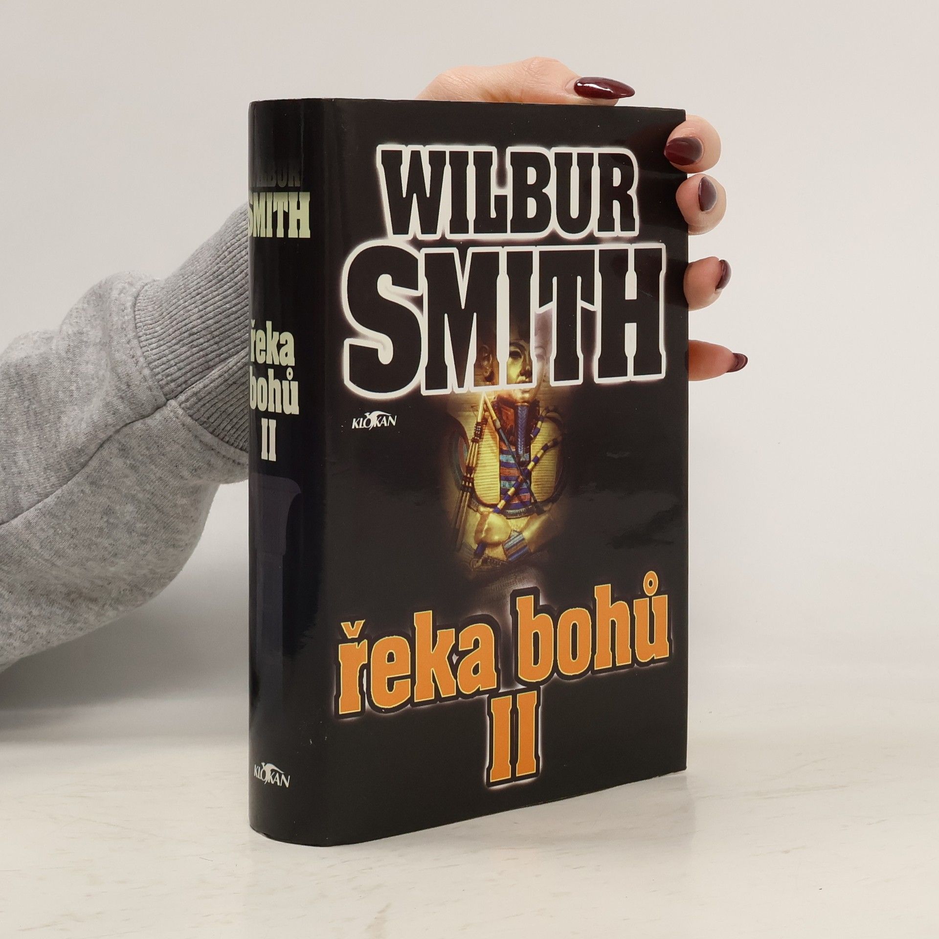 Wilbur Smith Řeka bohů II