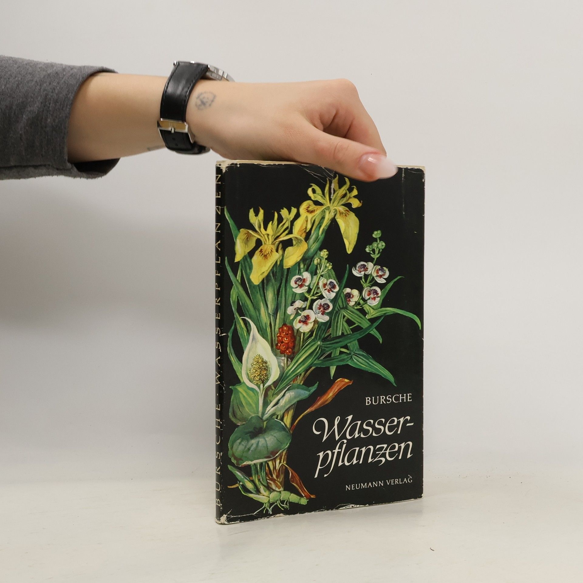 Collectif d'auteurs Bursche Wasserpflanzen