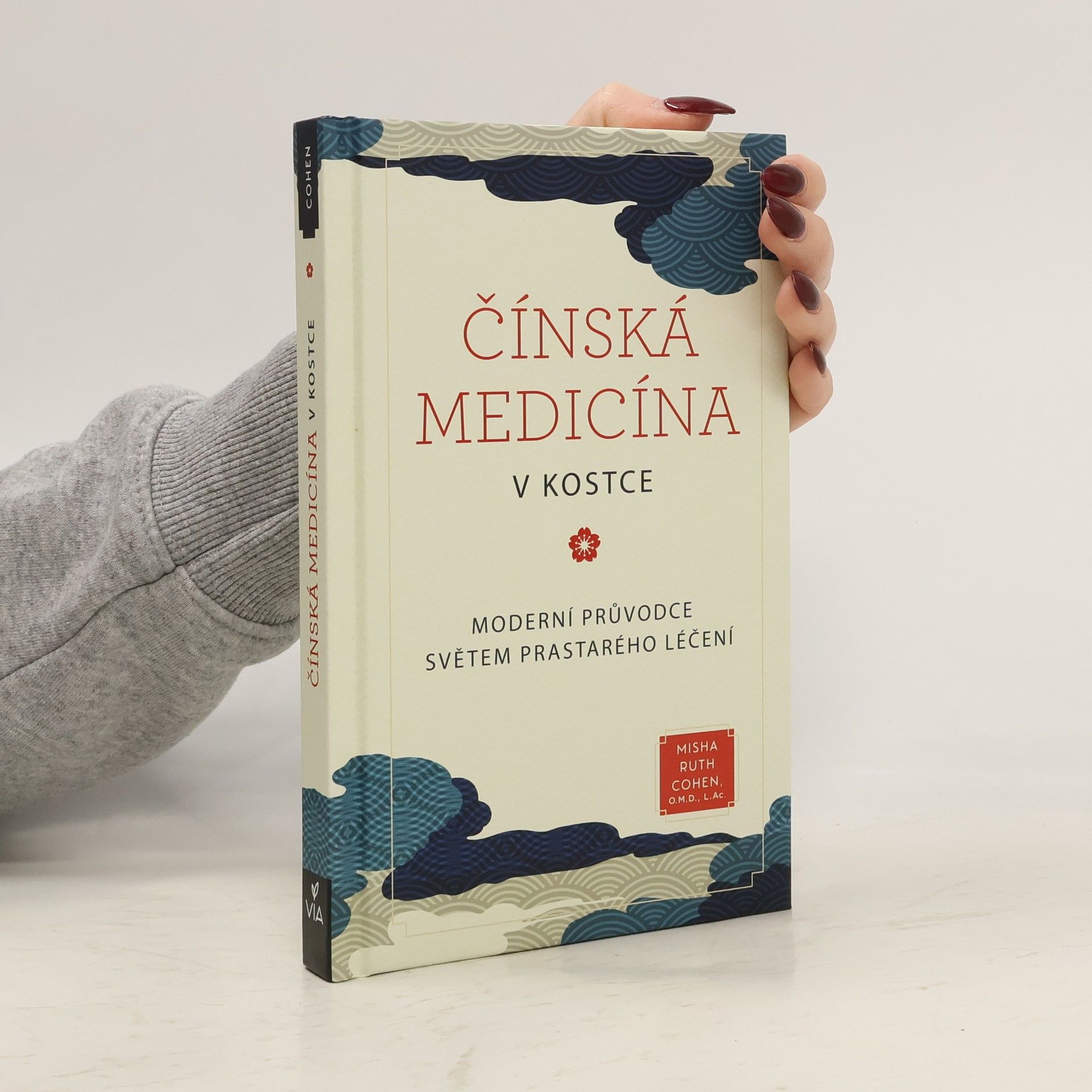 Čínská medicína v kostce : moderní průvodce světem prastarého léčení