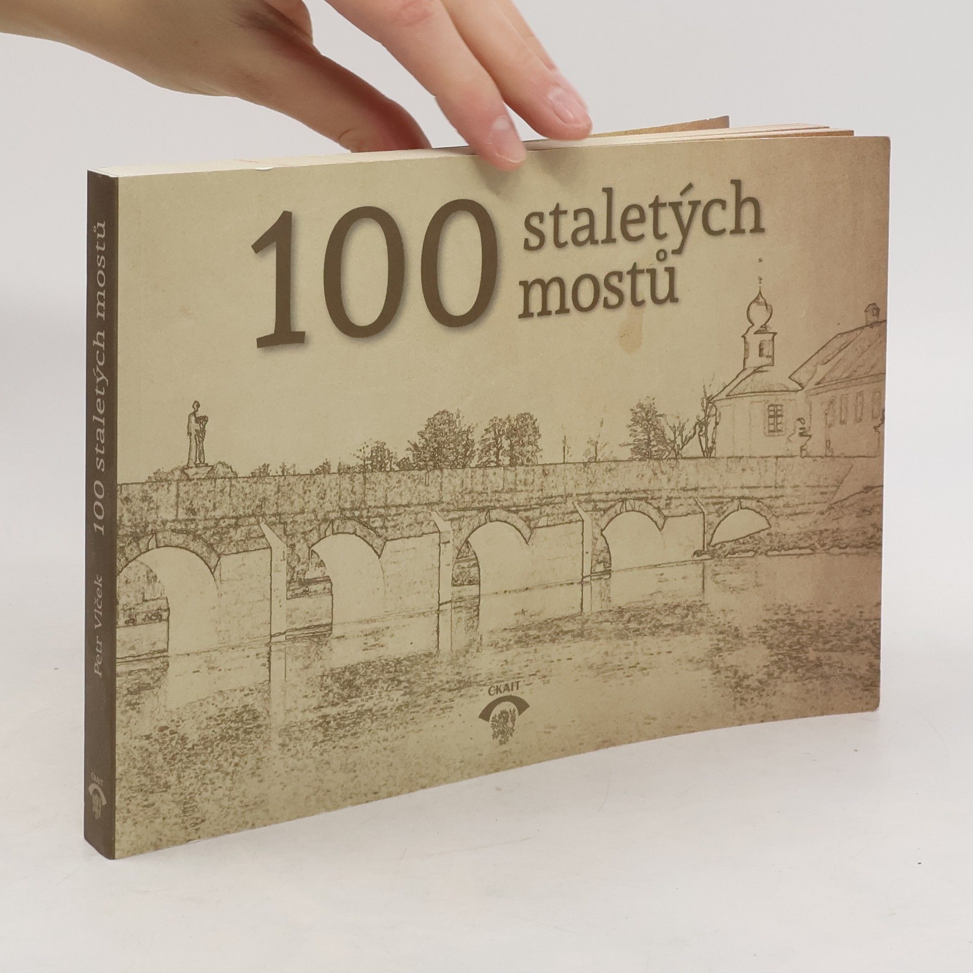 Petr Vlček 100 staletých mostů
