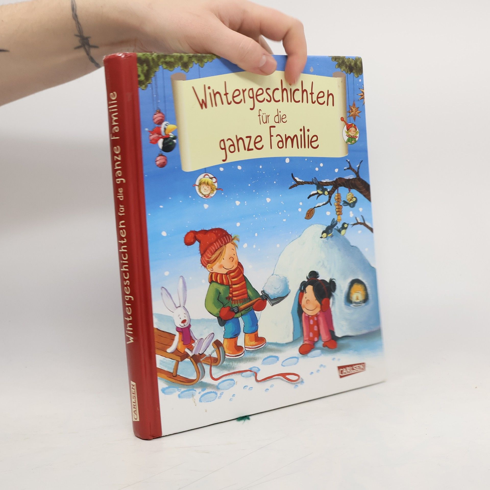 Collectif d'auteurs Wintergeschichten für die ganze Familie