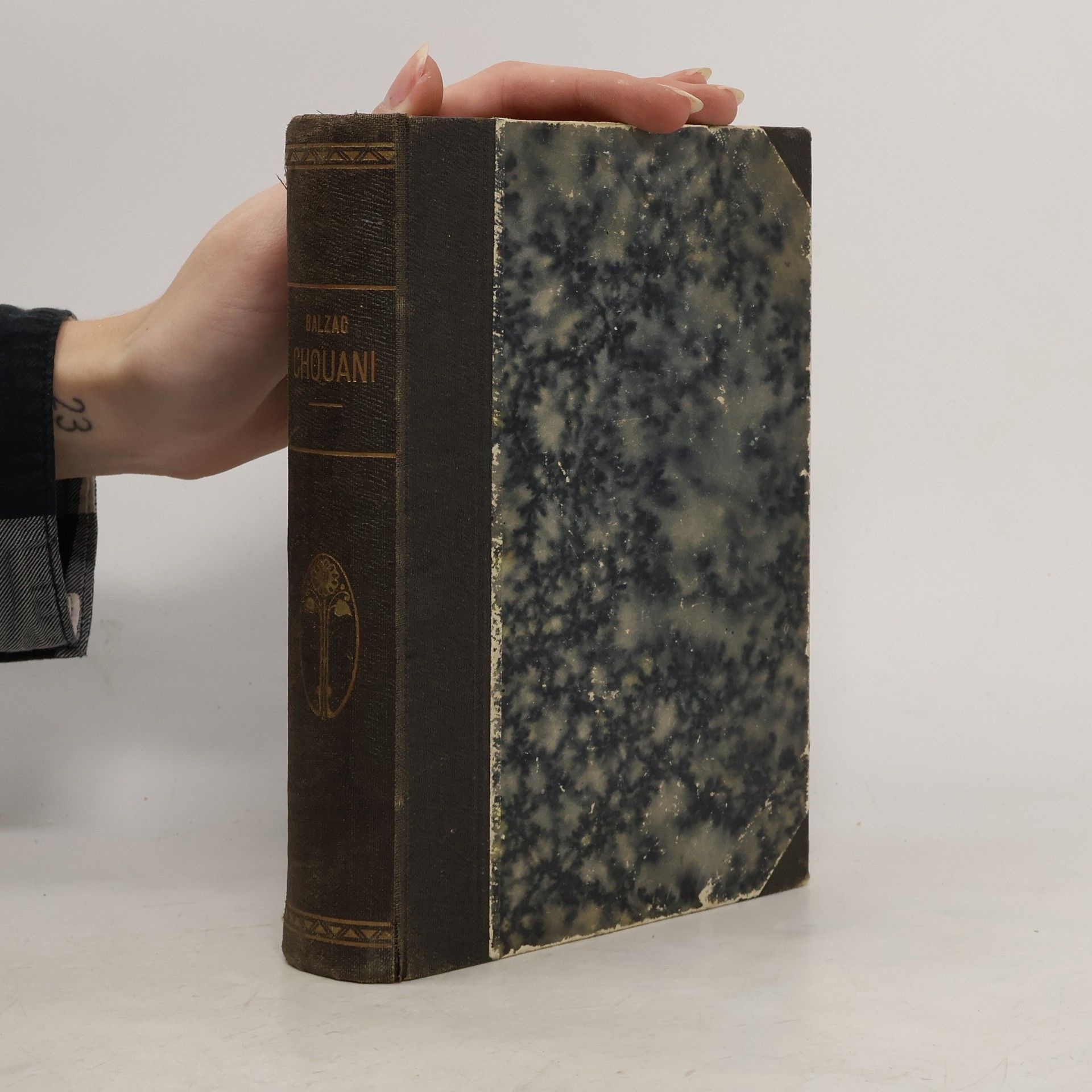 Honoré de Balzac Chouani čili Bretoňsko v roce 1799