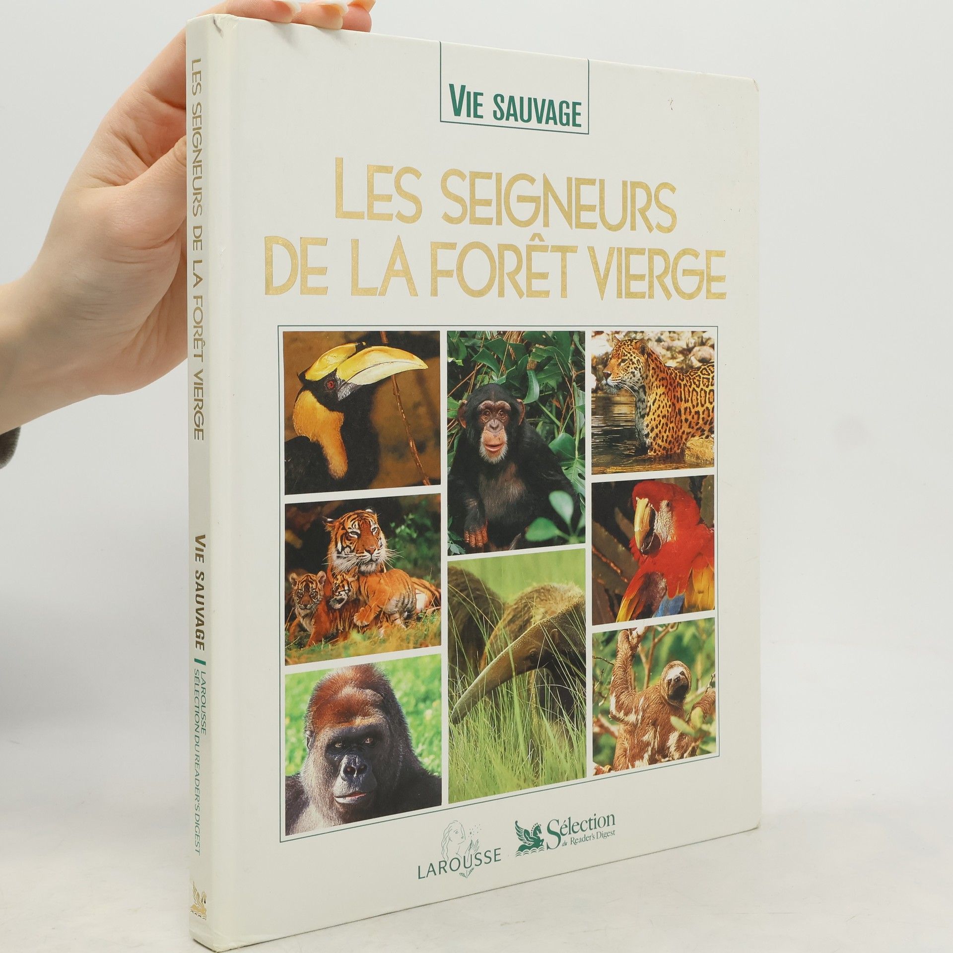 Christine Sourd Vie sauvage: Les seigneurs de la forêt vierge