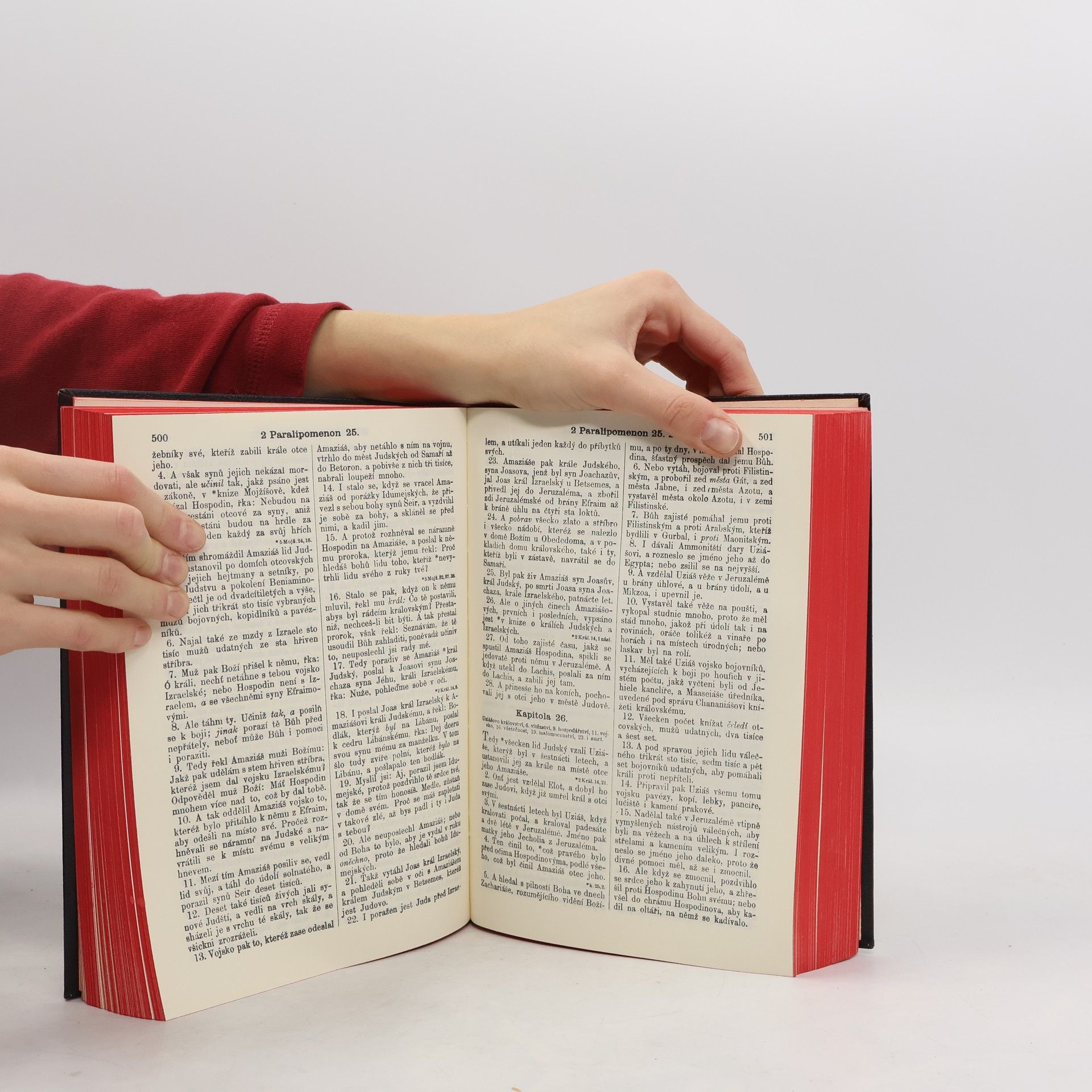 Various authors Bible svatá aneb Všecka svatá písma starého i nového zákona