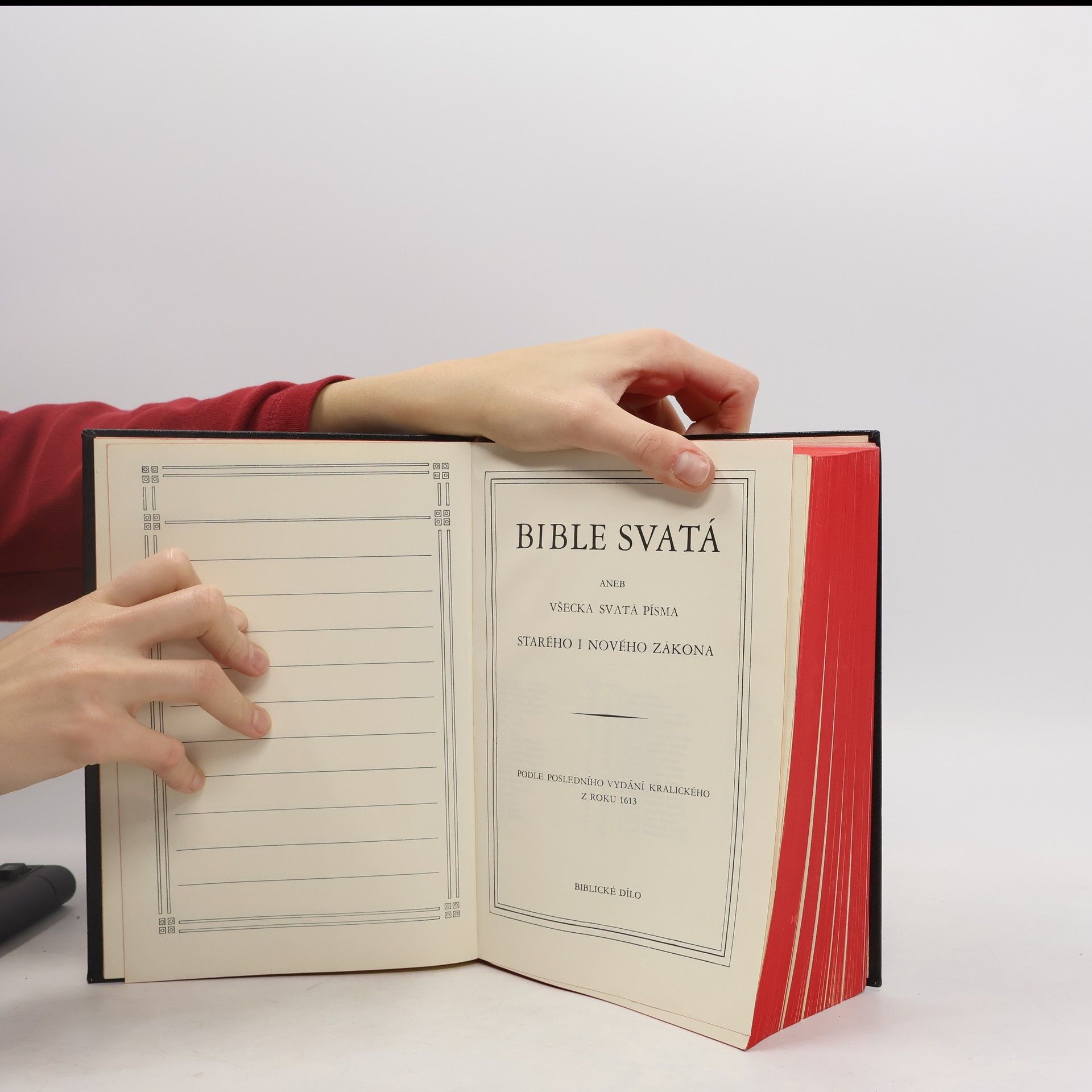 Various authors Bible svatá aneb Všecka svatá písma starého i nového zákona