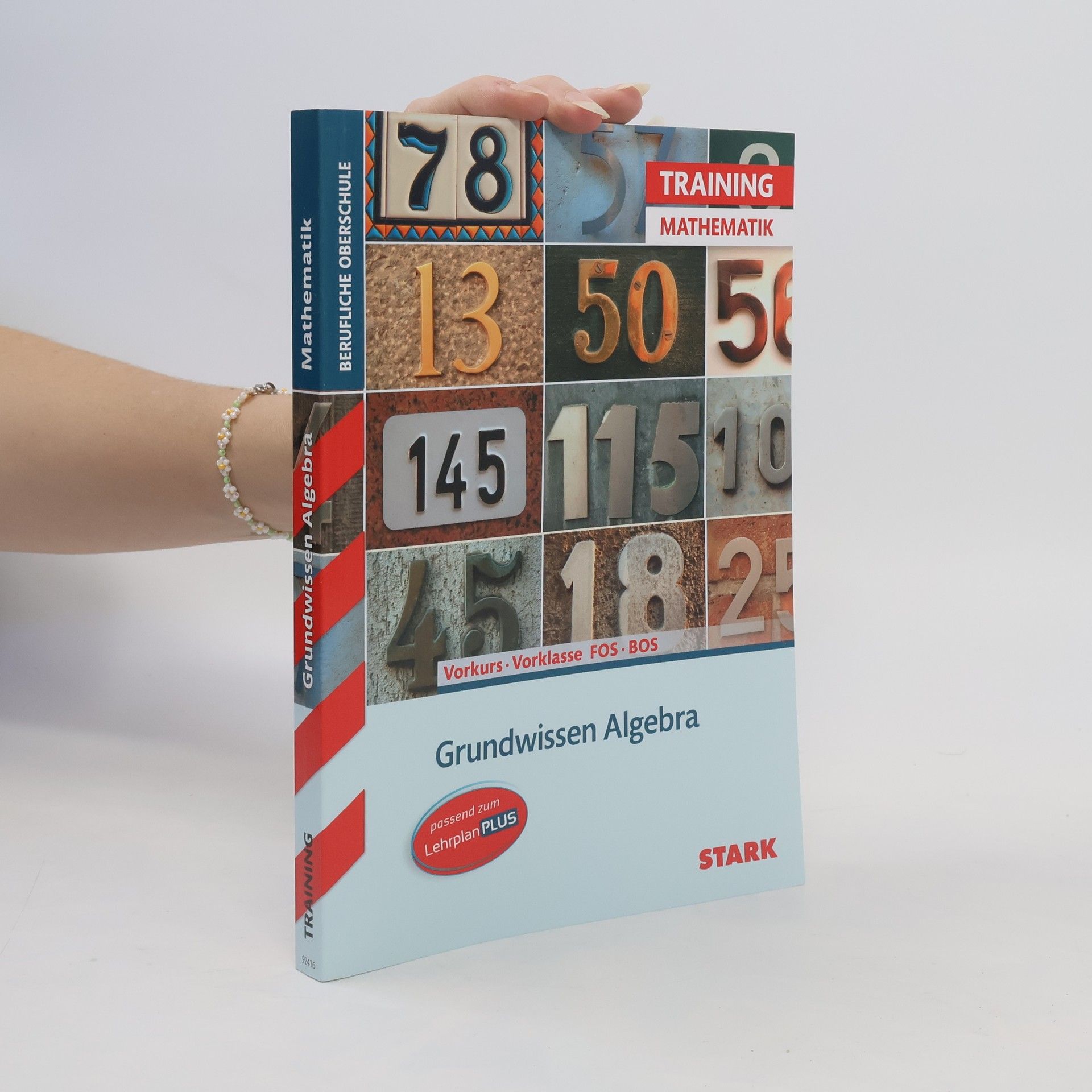 Volker Altrichter Grundwissen Algebra