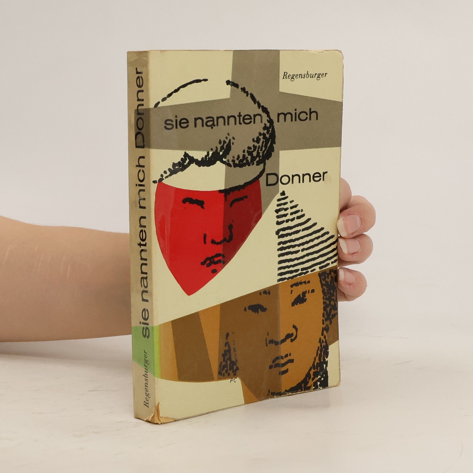 Alois Regensburger Sie nannten mich Donner
