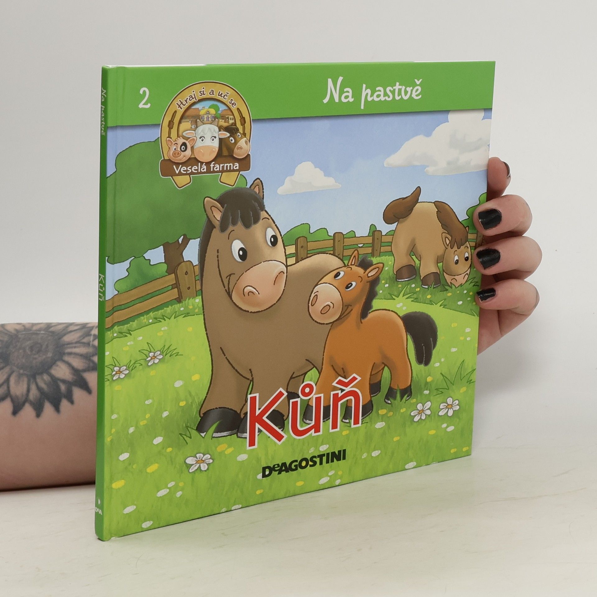 Kůň, klisna a hříbě