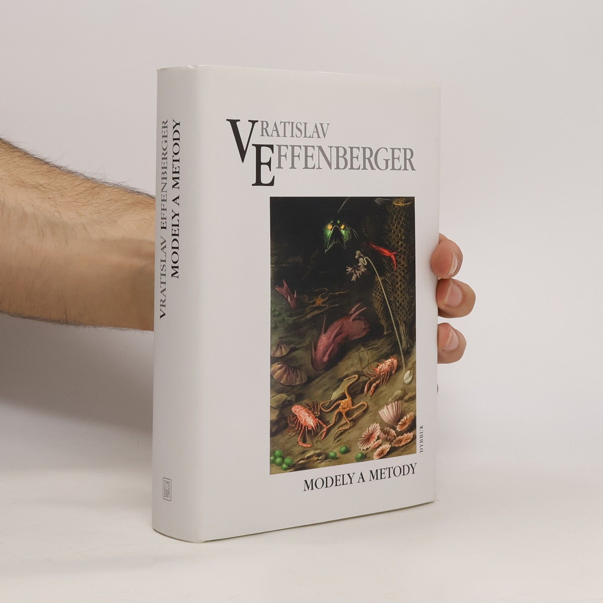 Vratislav Effenberger Modely a metody
