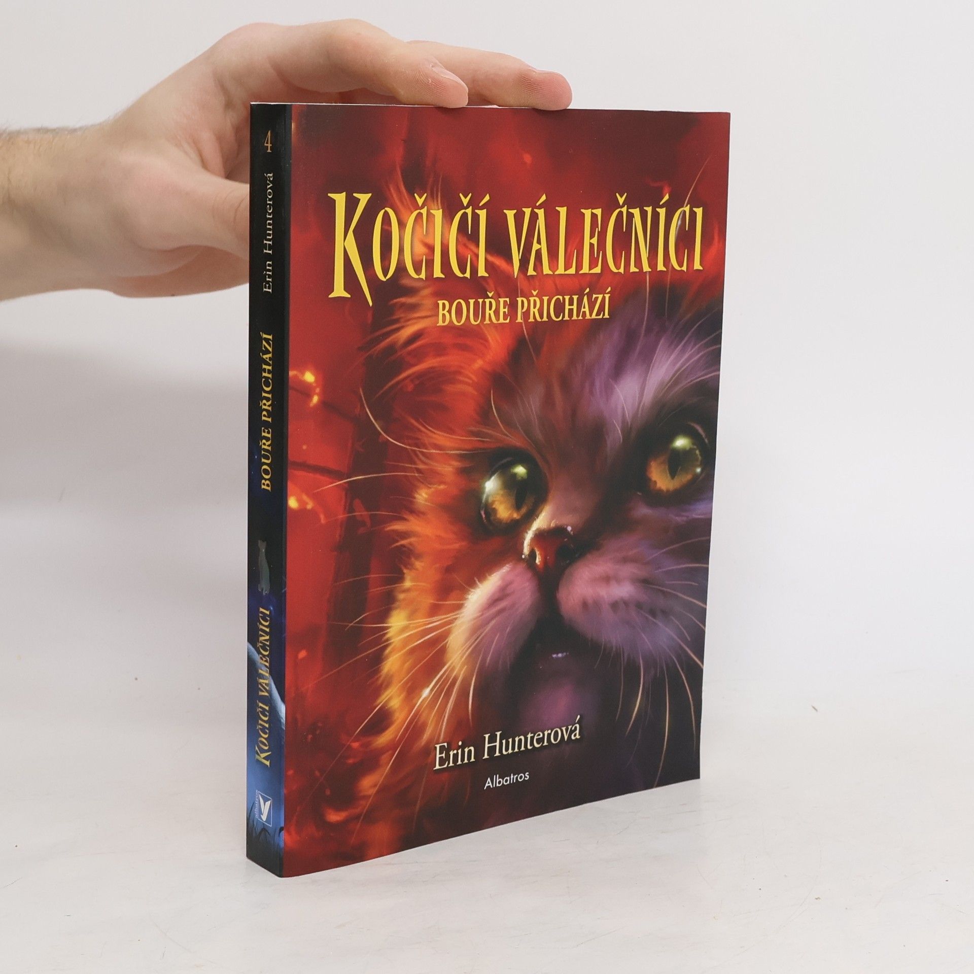 Kočičí válečníci. Bouře přichází