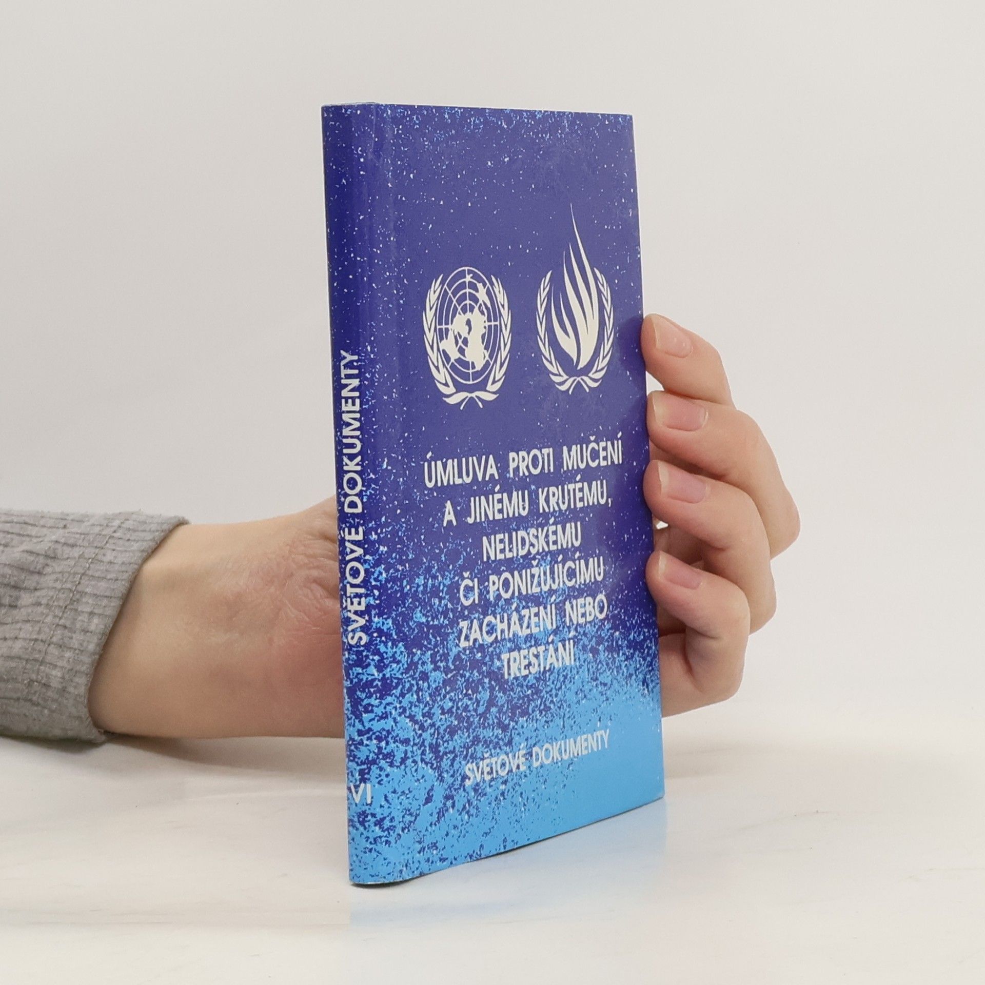 Tatjana Pollachová Úmluva proti mučení a jinému krutému, nelidskému či ponižujícímu zacházení nebo trestání