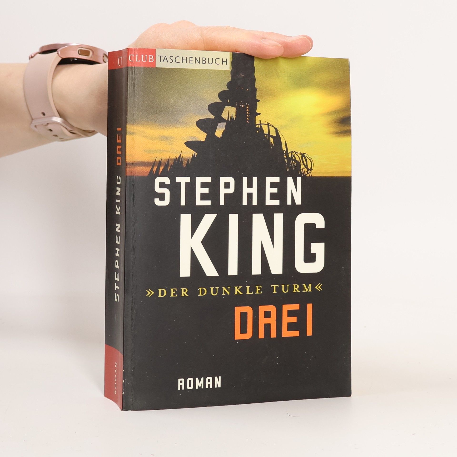 Stephen King Der Dunkle Turm. Drei