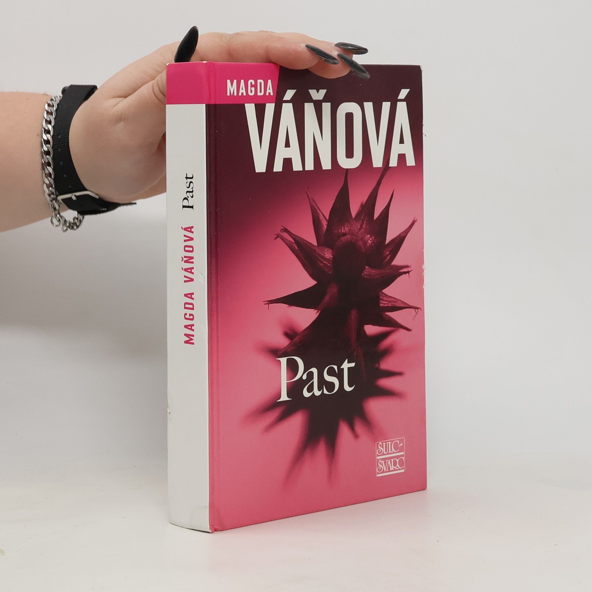 Magda Váňová Past