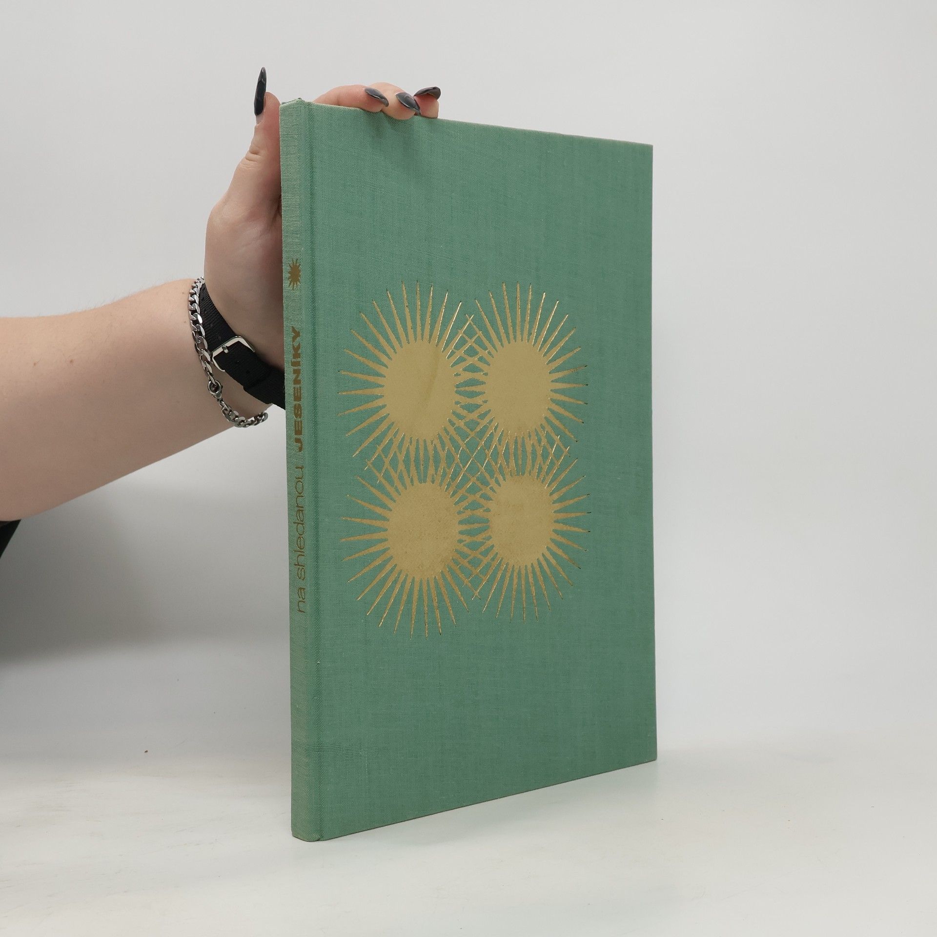 Kolektiv autorů Jeseníky