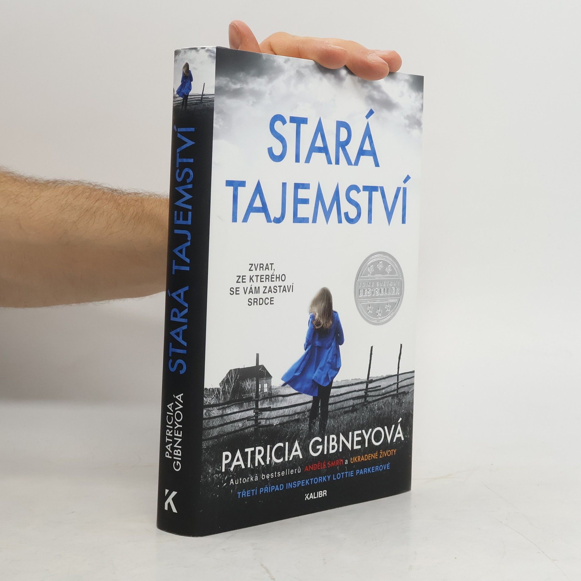 Patricia Gibney Stará tajemství