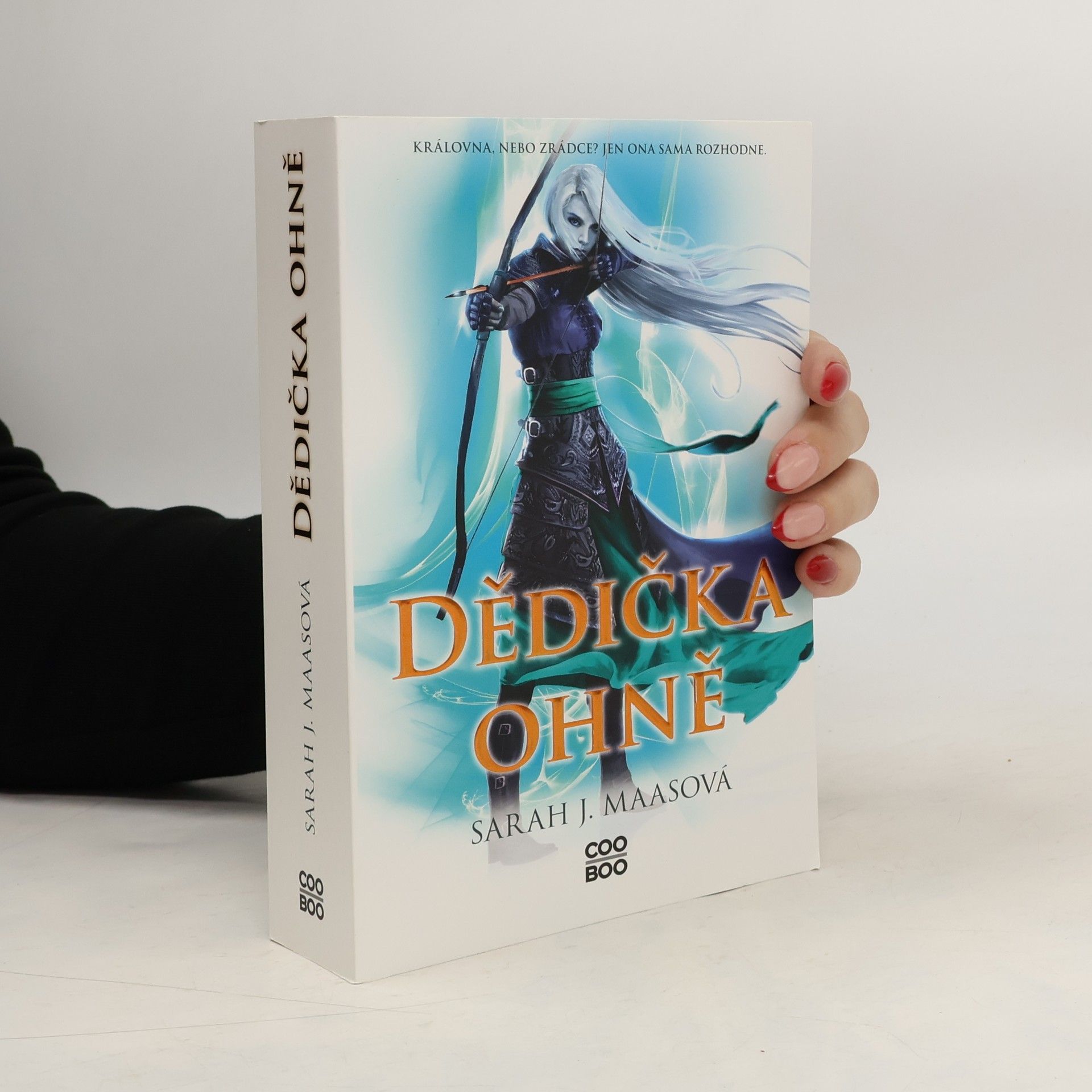 Sarah J. Maas Dědička ohně