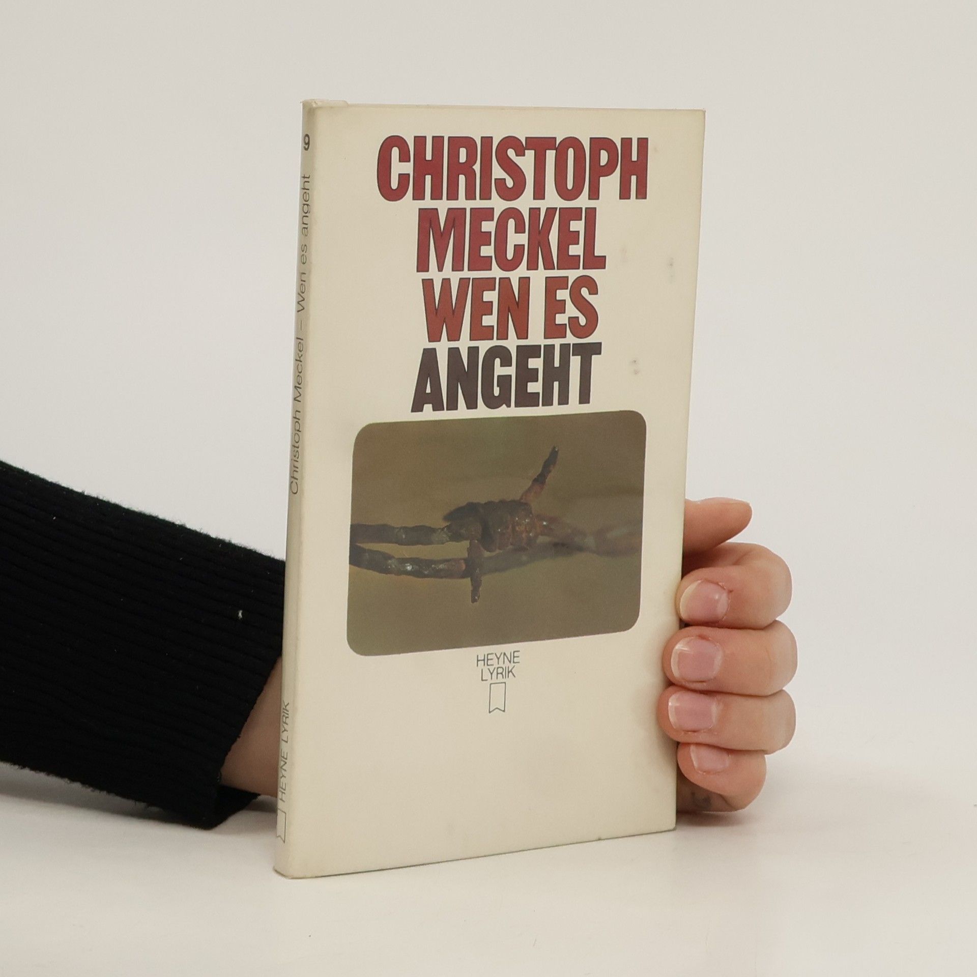 Christoph Meckel Wen es angeht