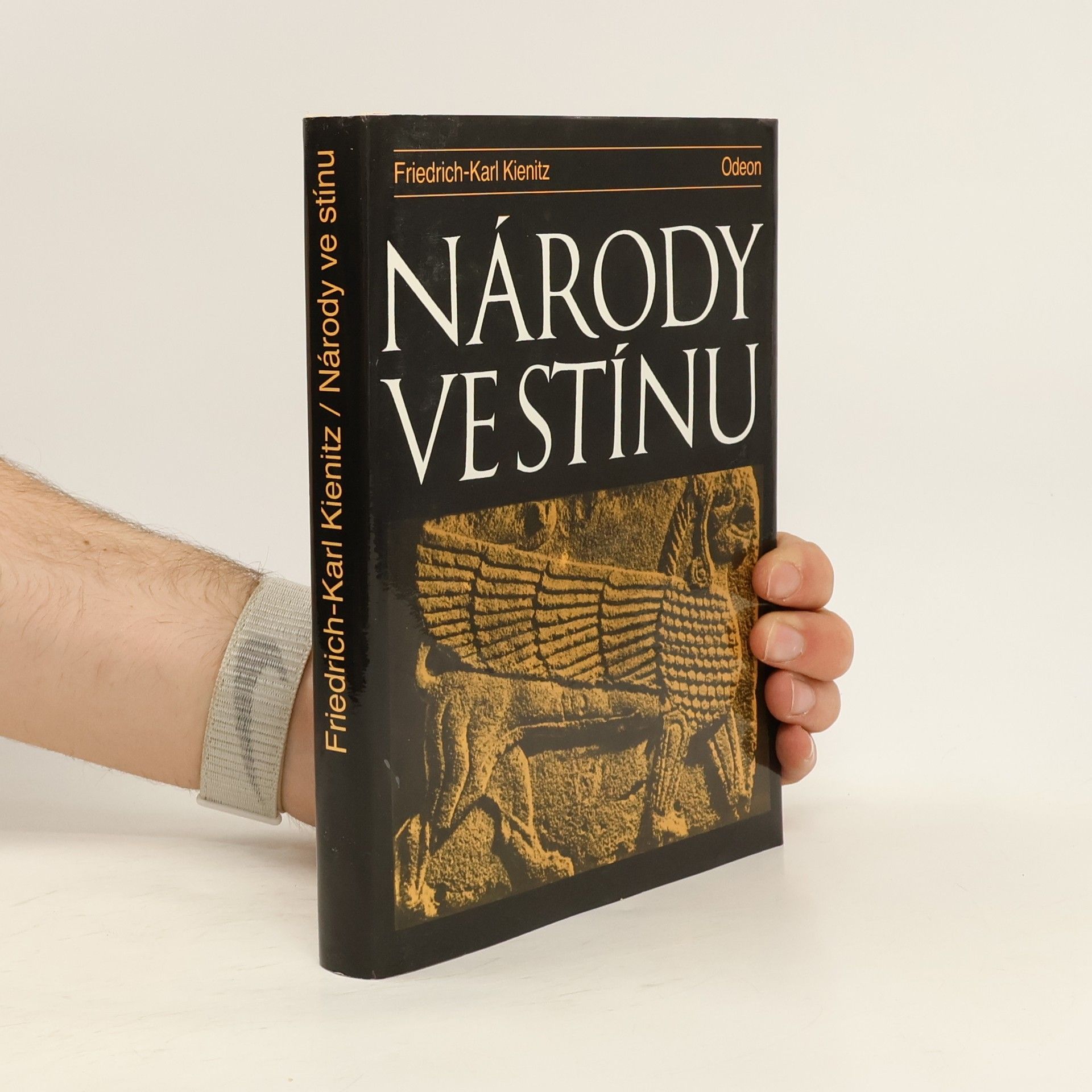 Friedrich Karl Kienitz Národy ve stínu