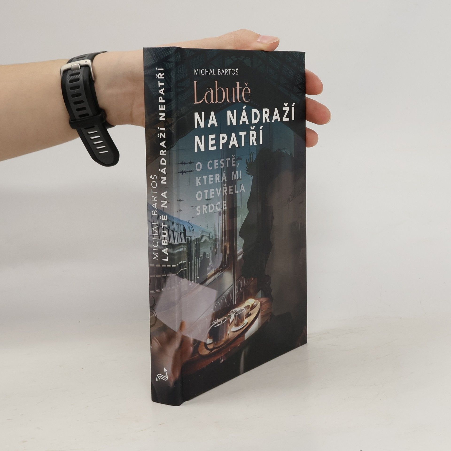 Labutě na nádraží nepatří