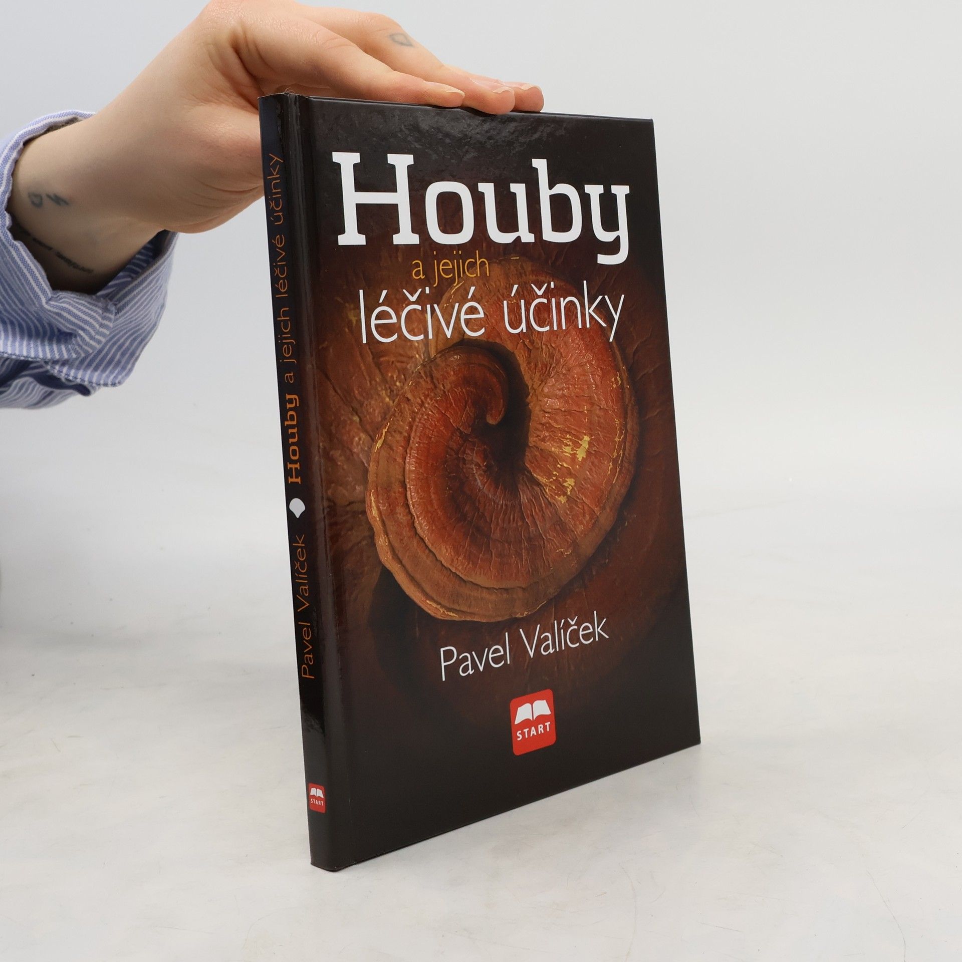 Houby a jejich léčivé účinky