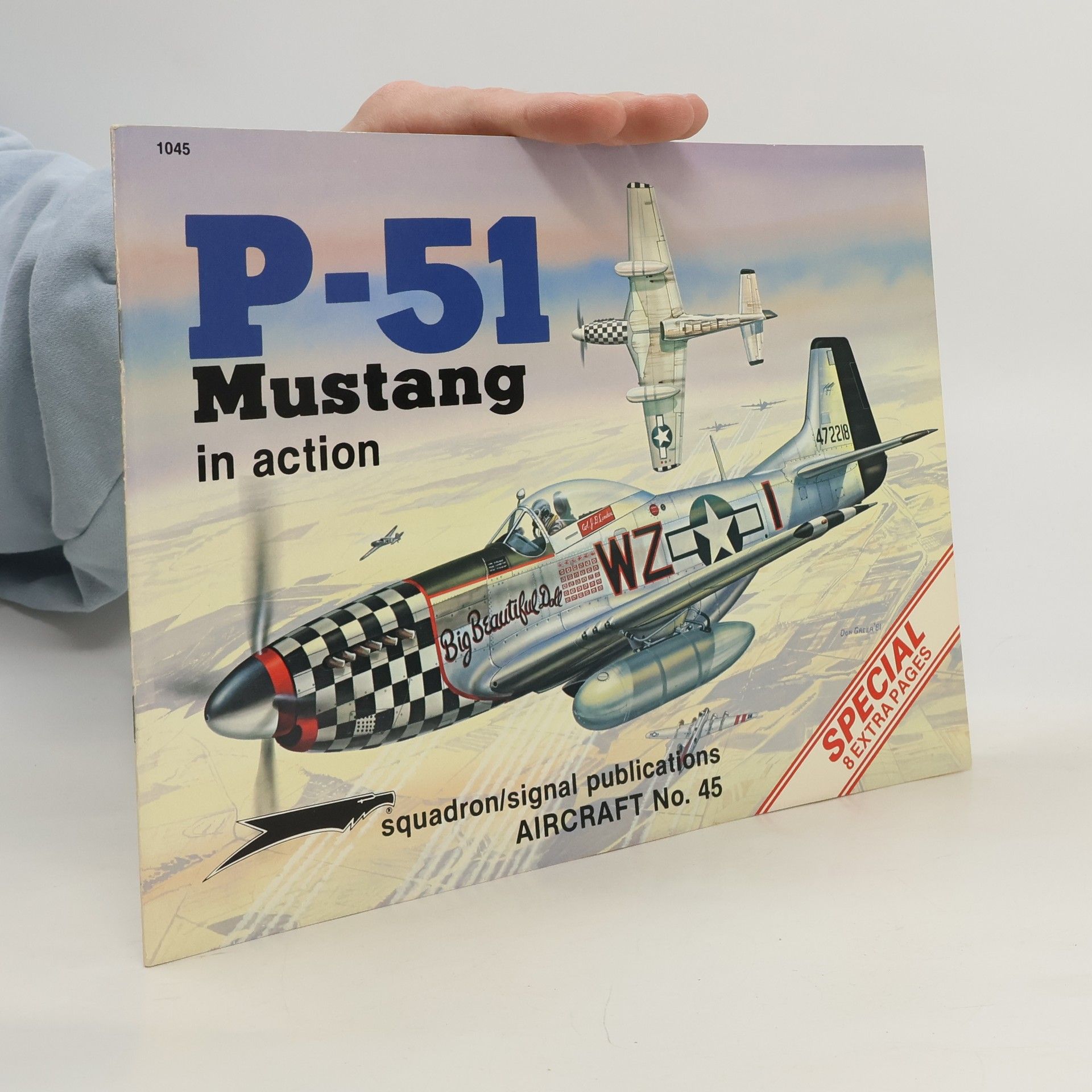 Larry Davis Aircraft - 45: P-51 Mustang in Action