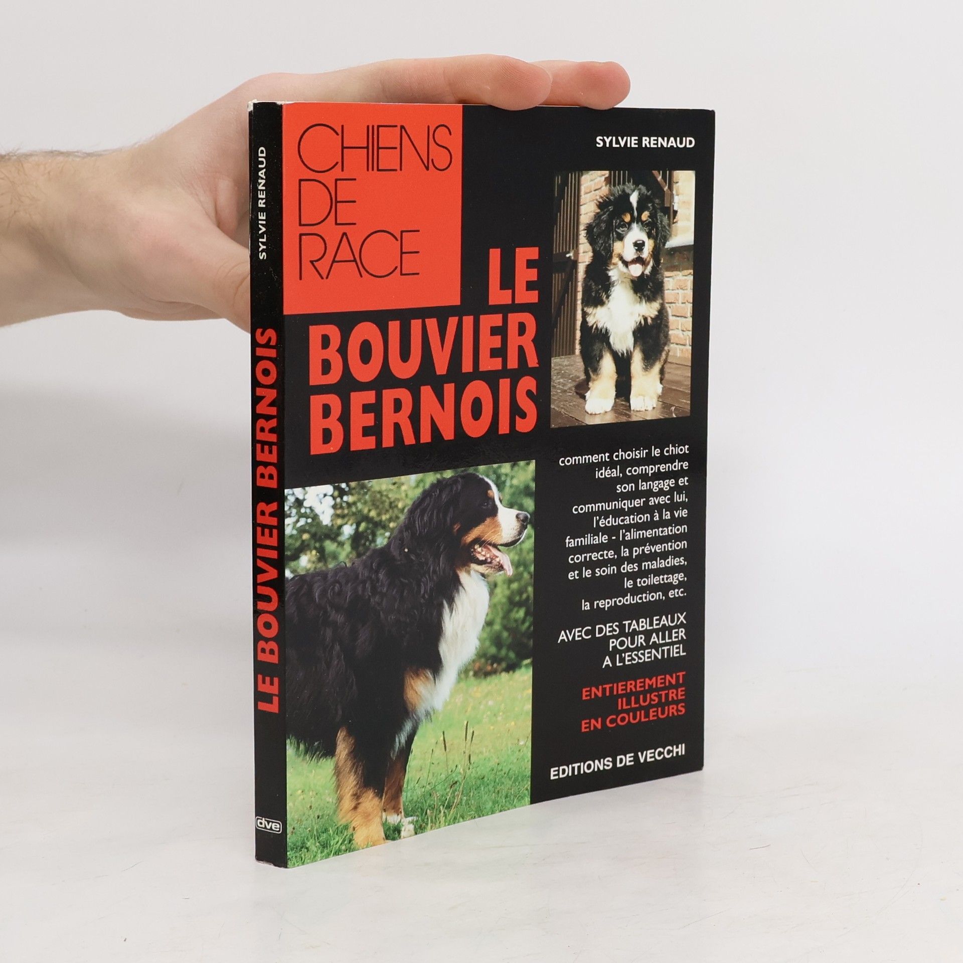 Sylvie Renaud Le bouvier bernois