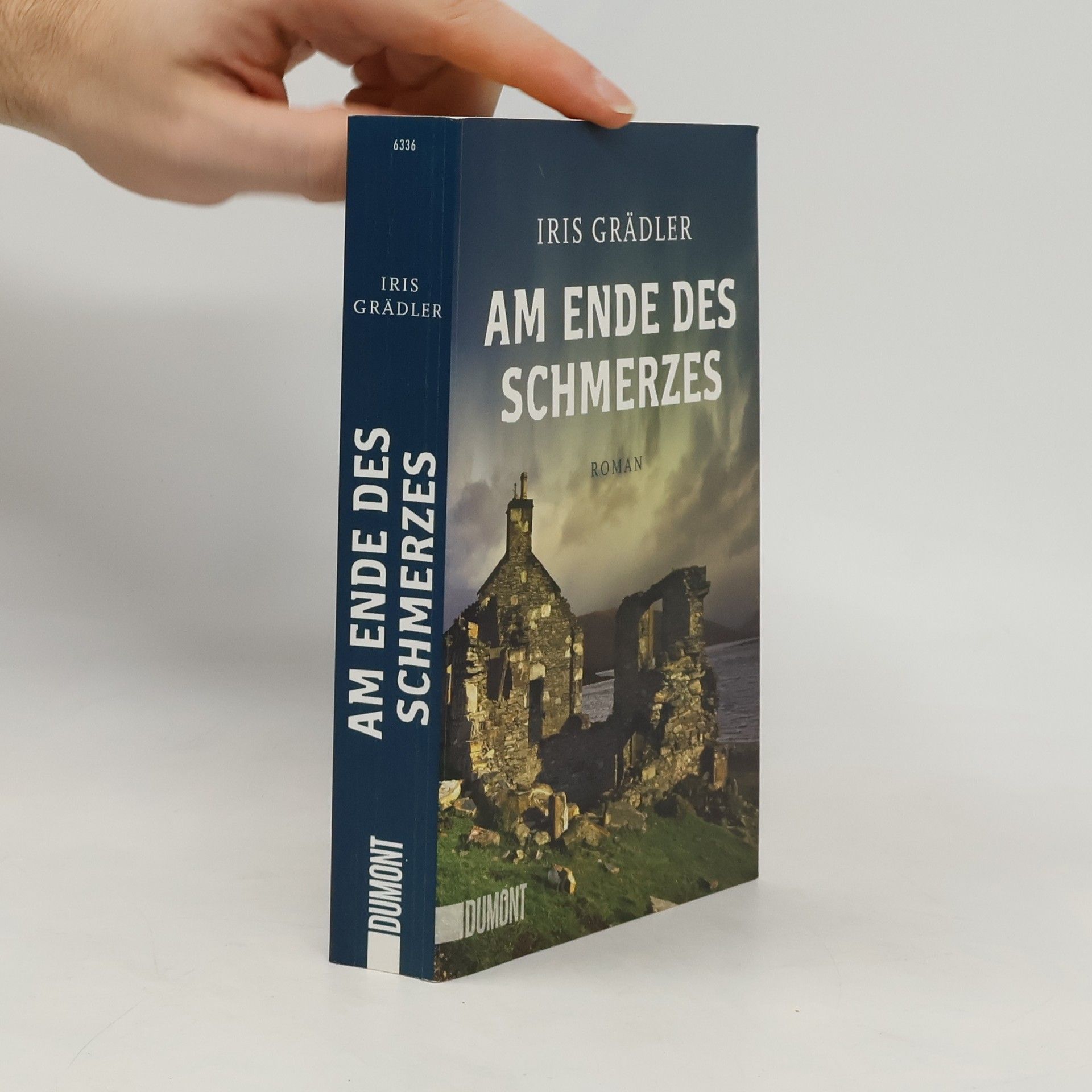 Iris Grädler Am Ende des Schmerzes