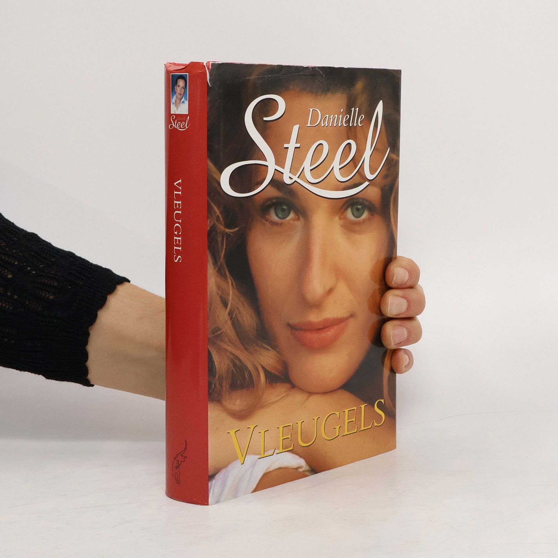 Danielle Steel Vleugels