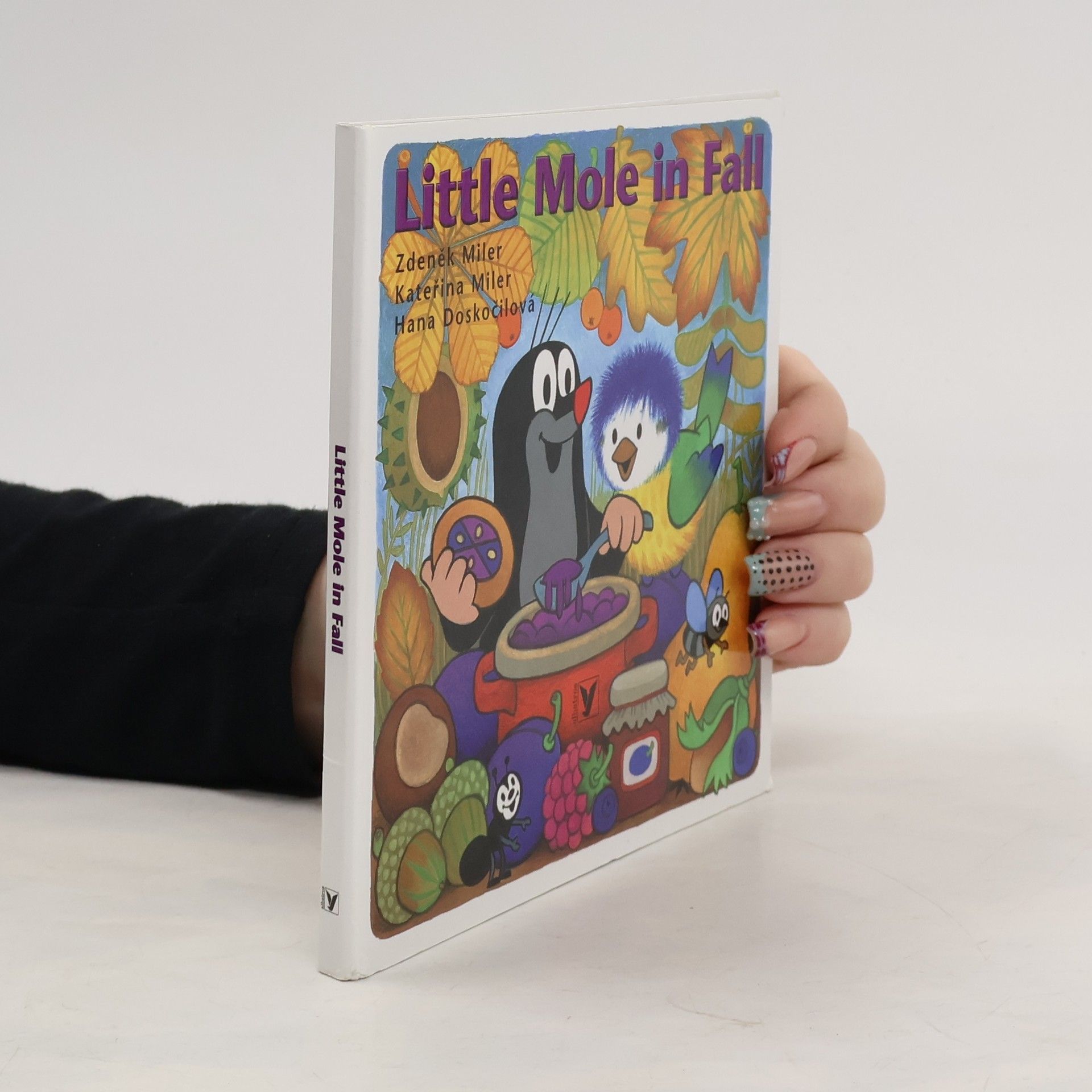 Collectif d'auteurs Little mole in fall