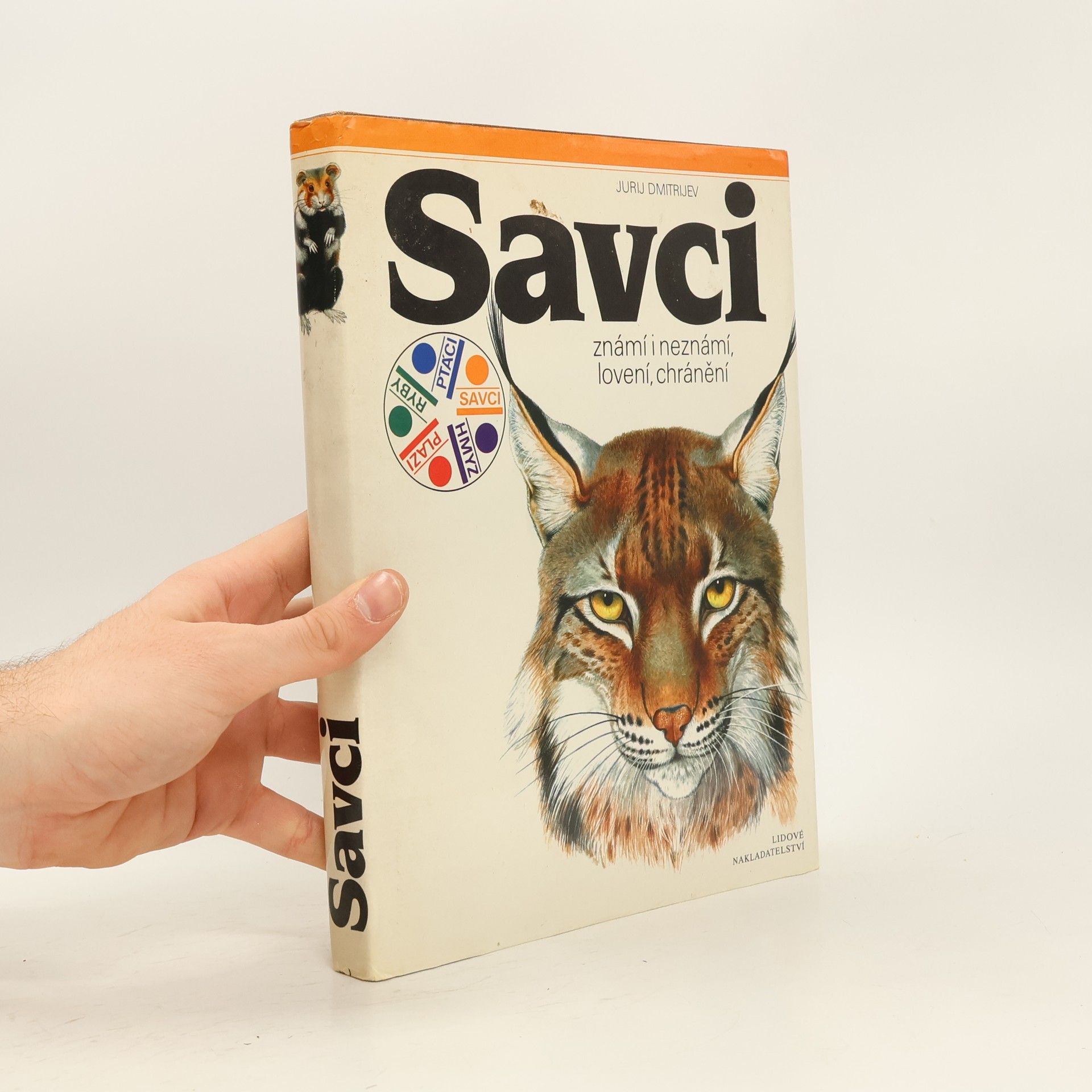 Savci