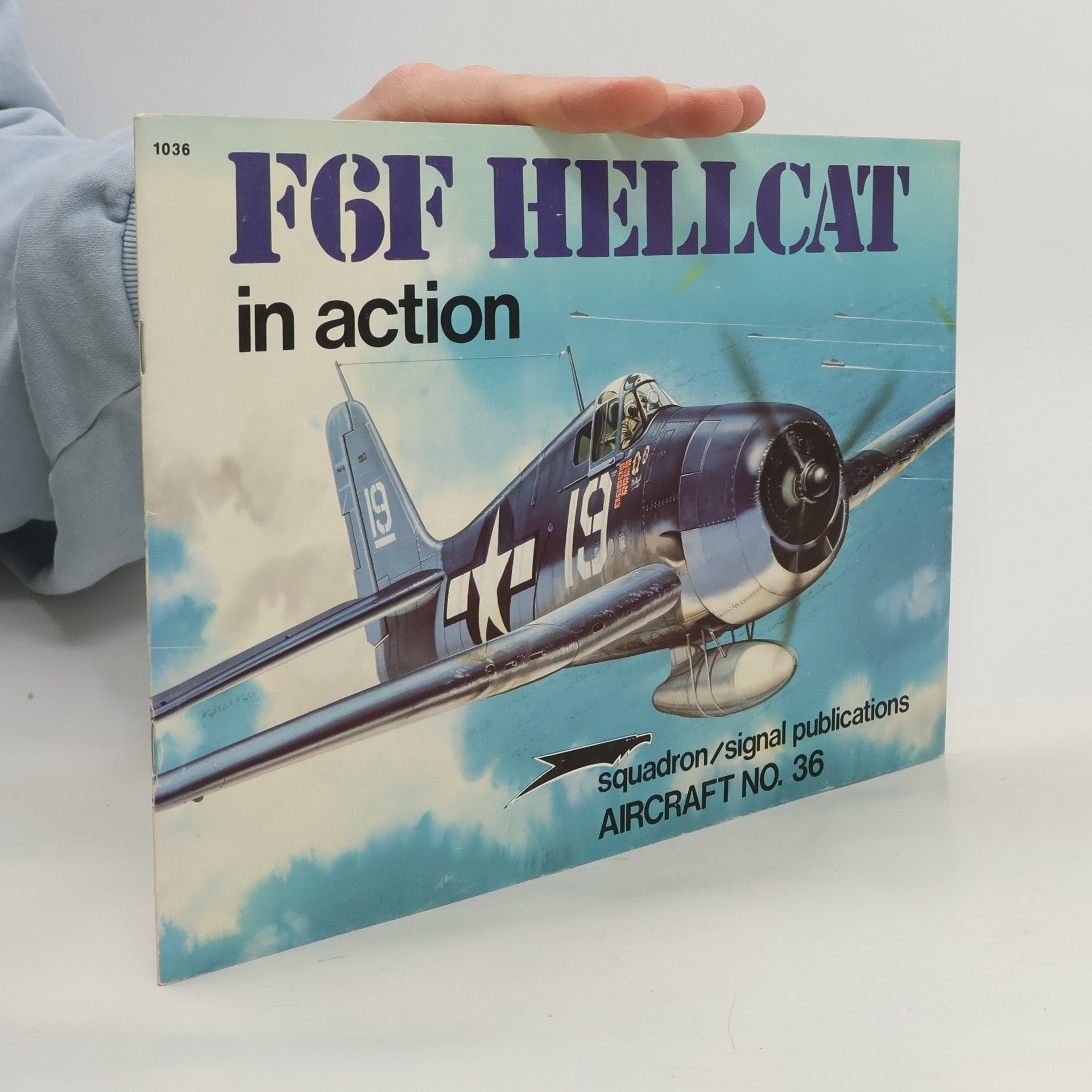 F6F Hellcat in Action