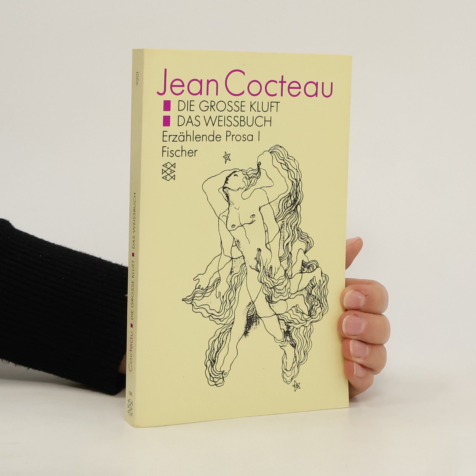 Die Grosse Kluft. Das Weissbuch