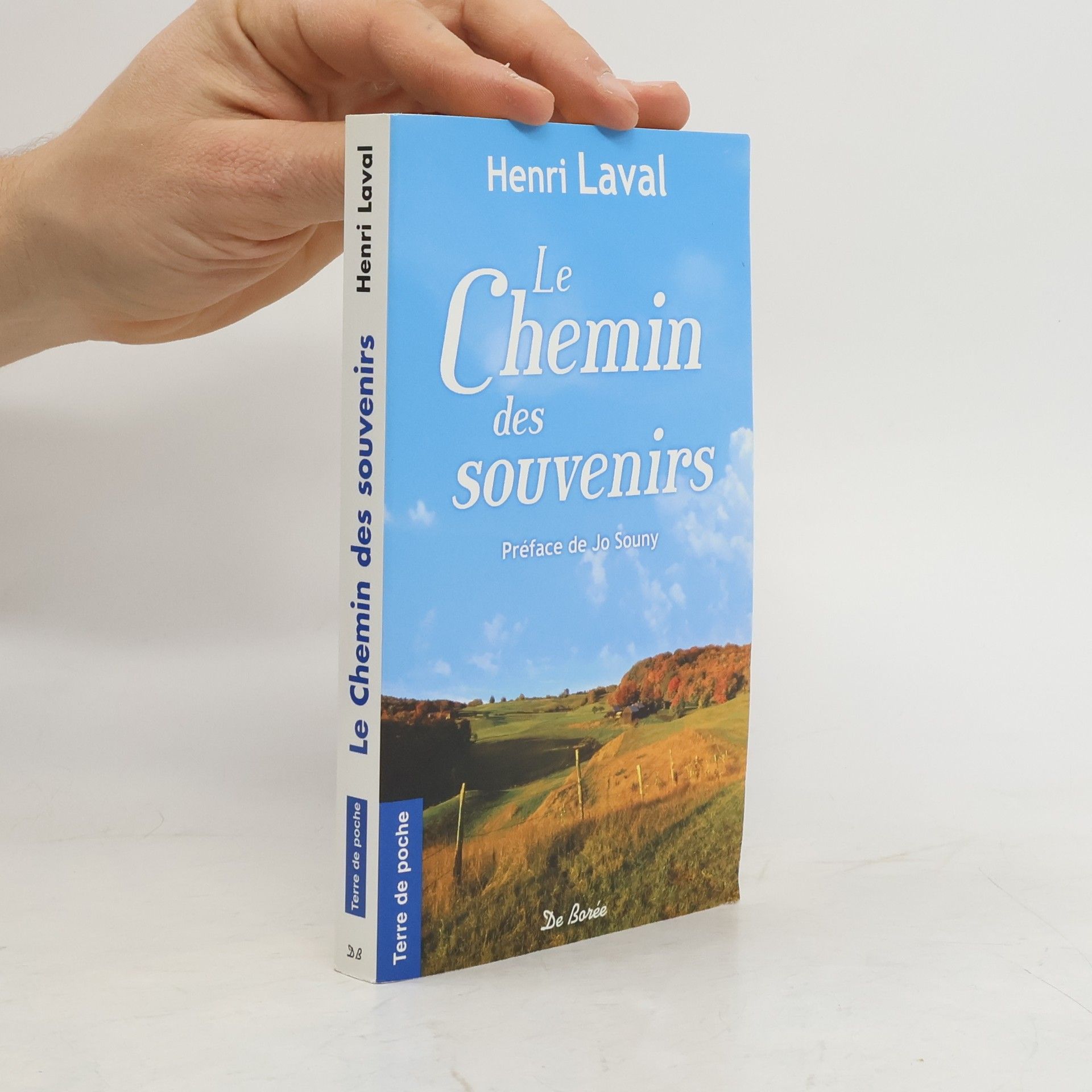 Henriette Lavalle Terre de poche: Le Chemin des souvenirs