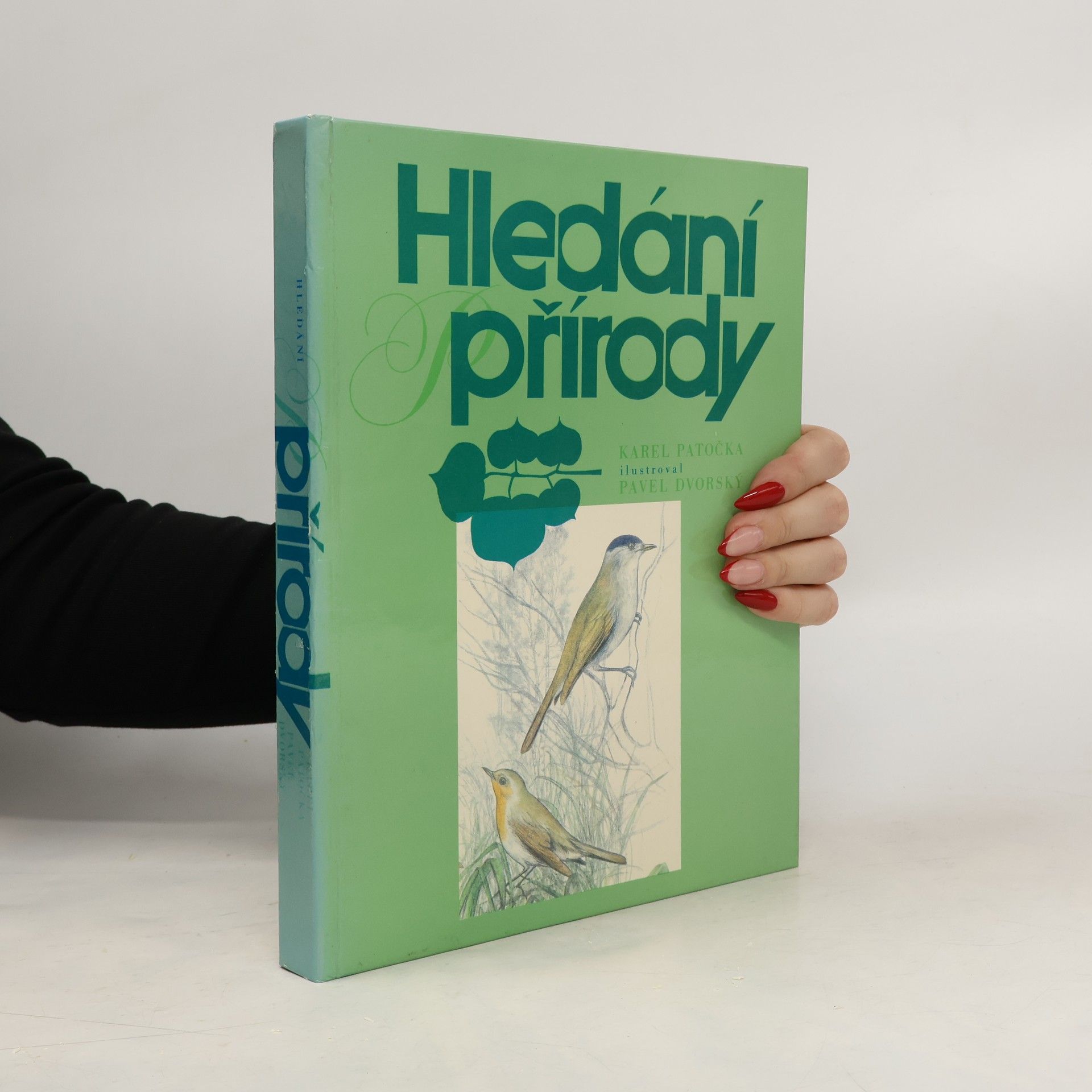 Karel Patočka Hledání přírody