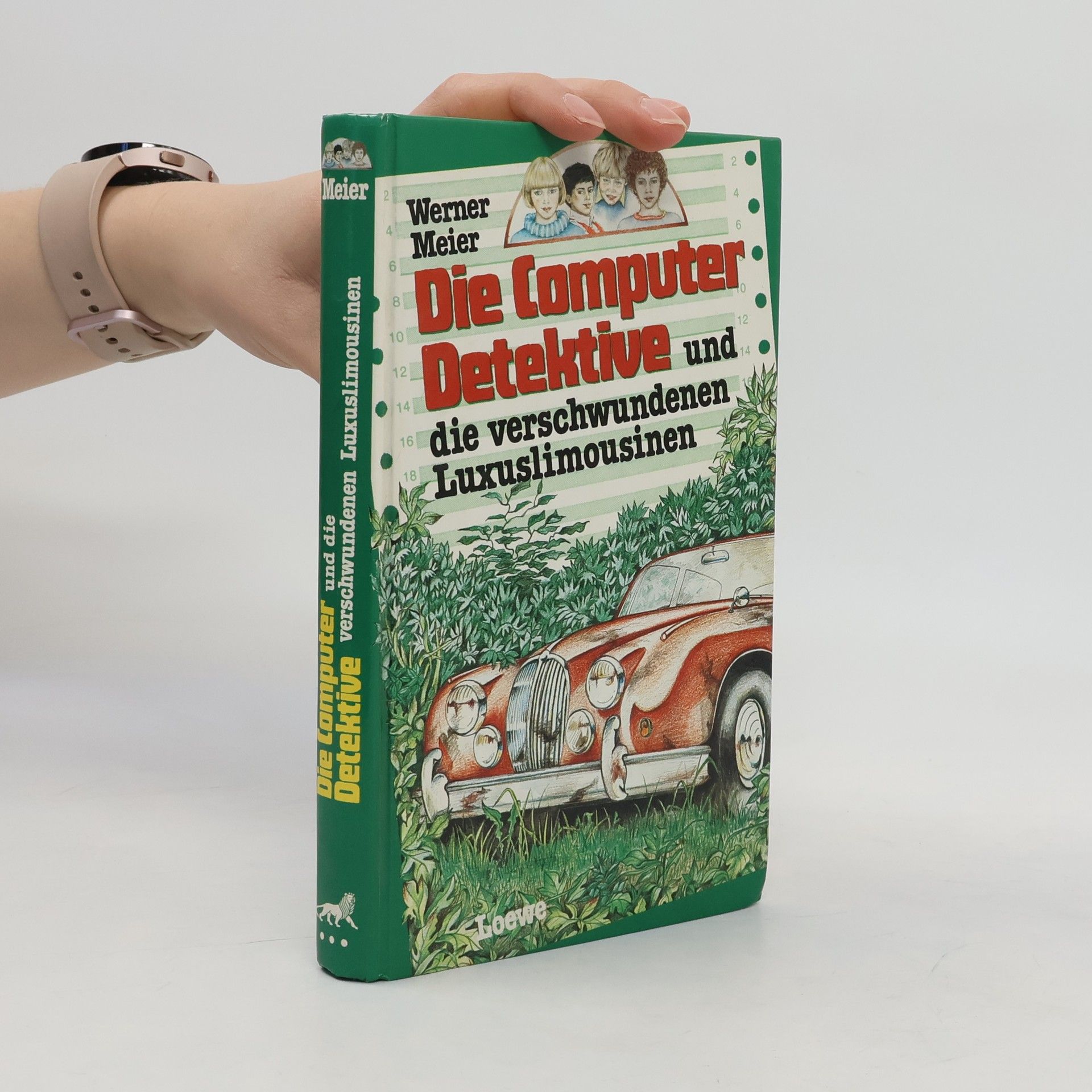Werner Meier Die Computerdetektive und die verschwundenen Luxuslimousinen