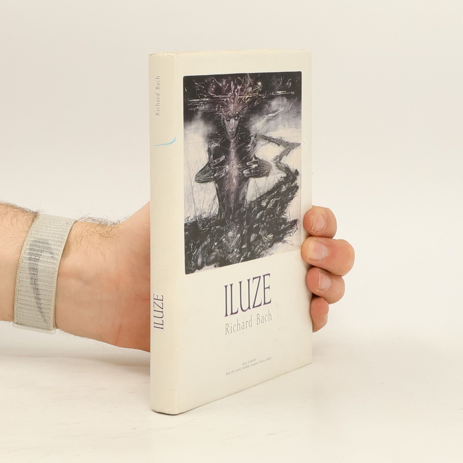 Vladimír Novák Iluze