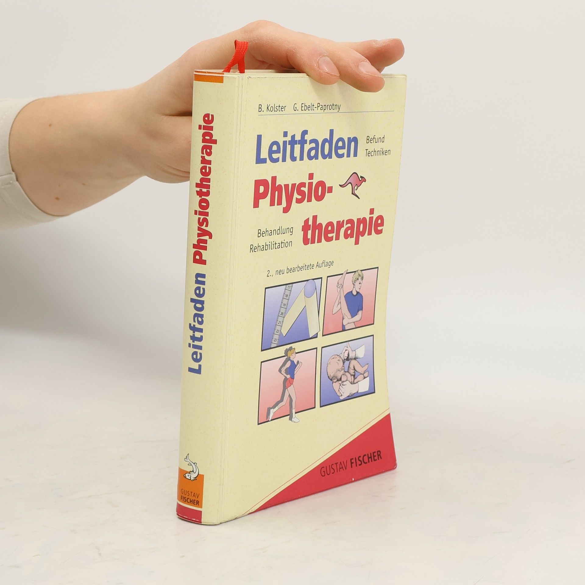 Bernard Kolster Leitfaden Physiotherapie