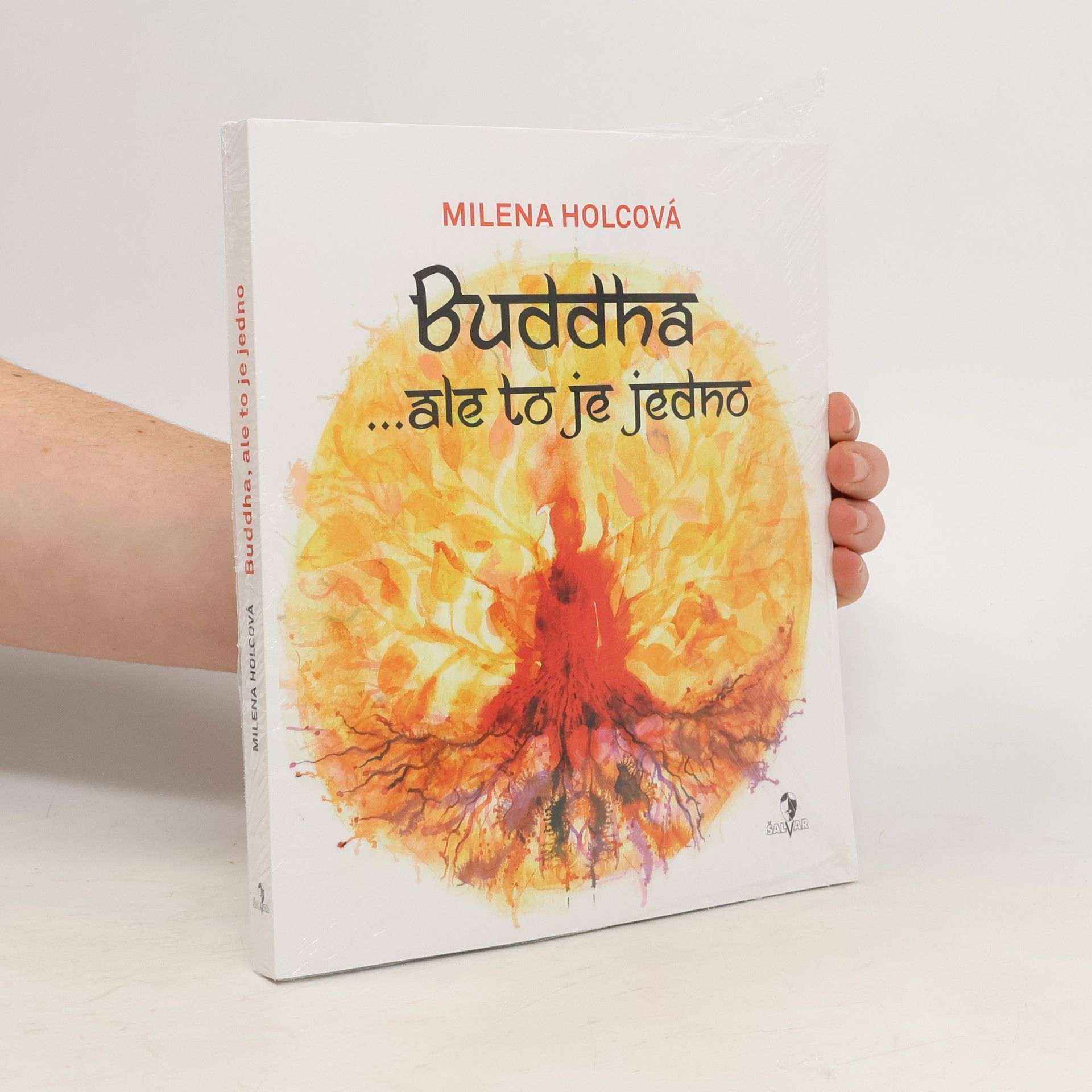 Milena Holcová Buddha ...ale to je jedno