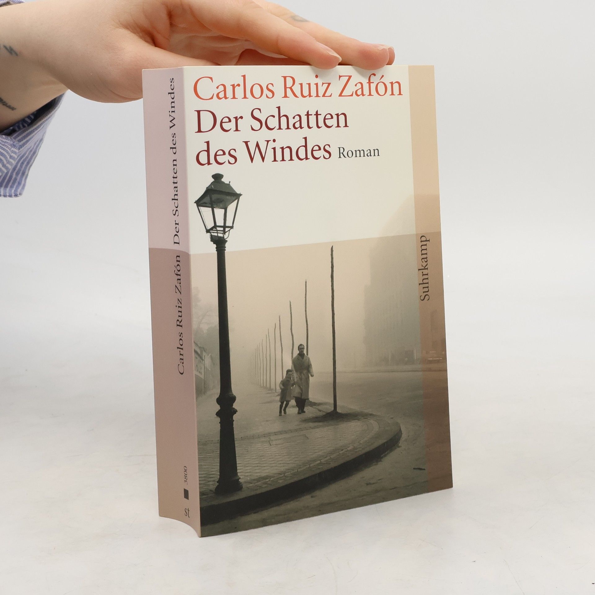 Carlos Ruiz Zafón Der Schatten des Windes