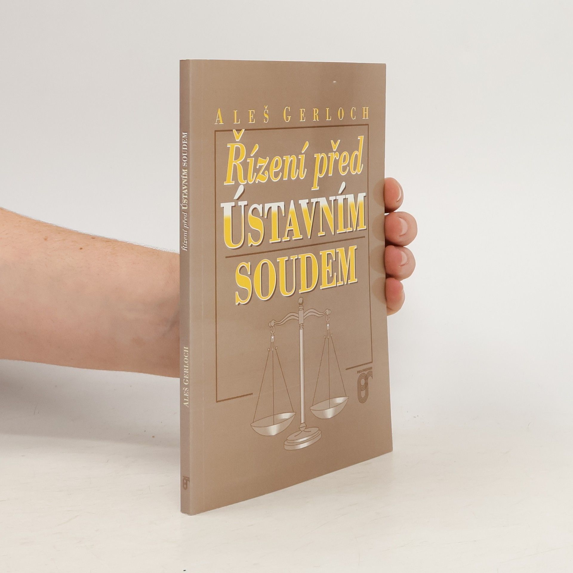 Aleš Gerloch Řízení před Ústavním soudem