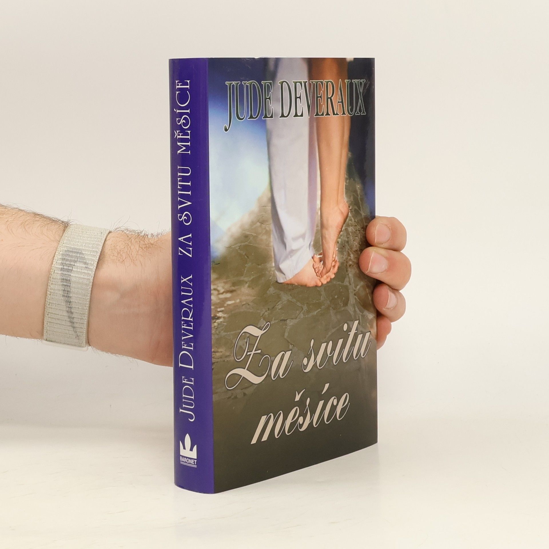 Jude Deveraux Za svitu měsíce