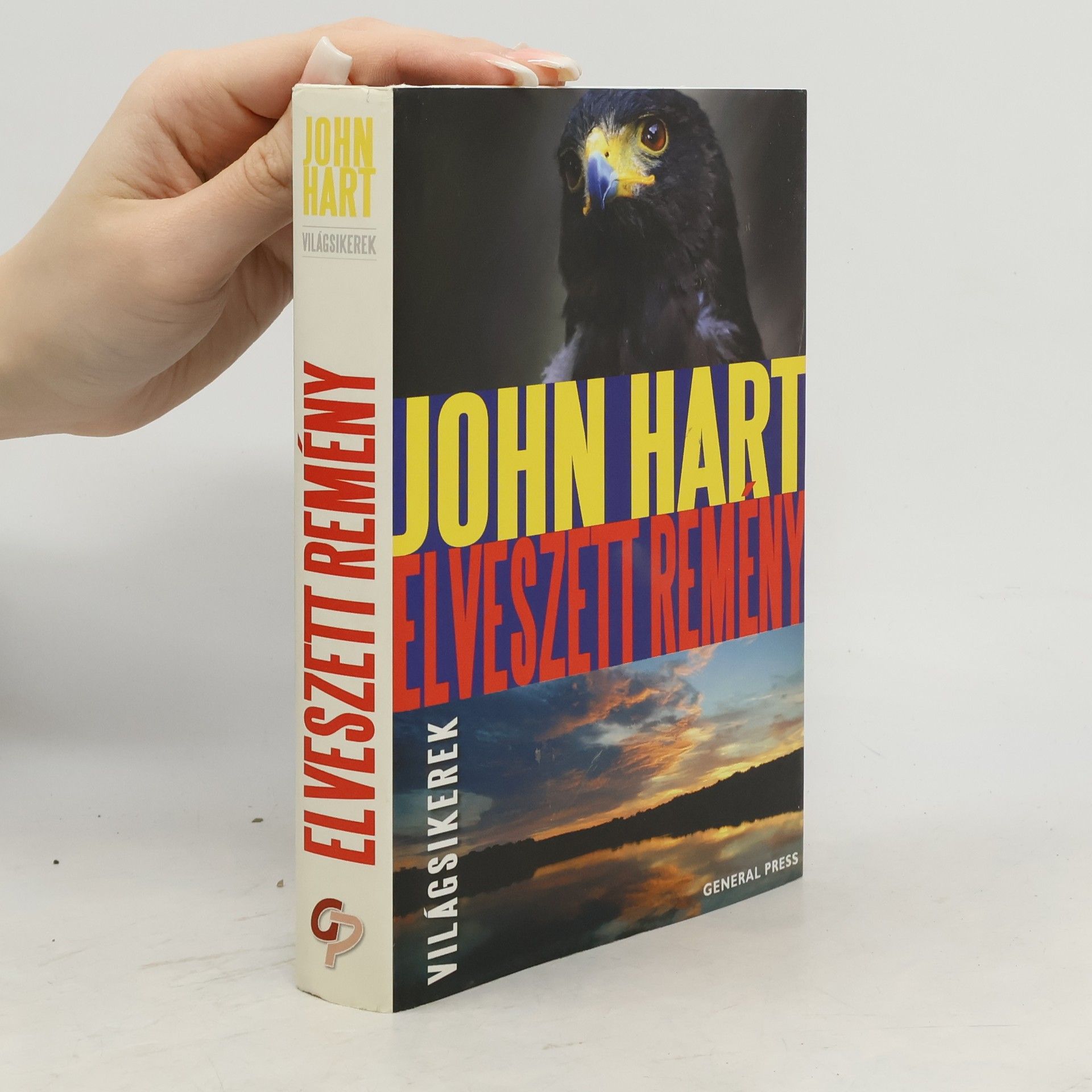 John Hart Elveszett remény