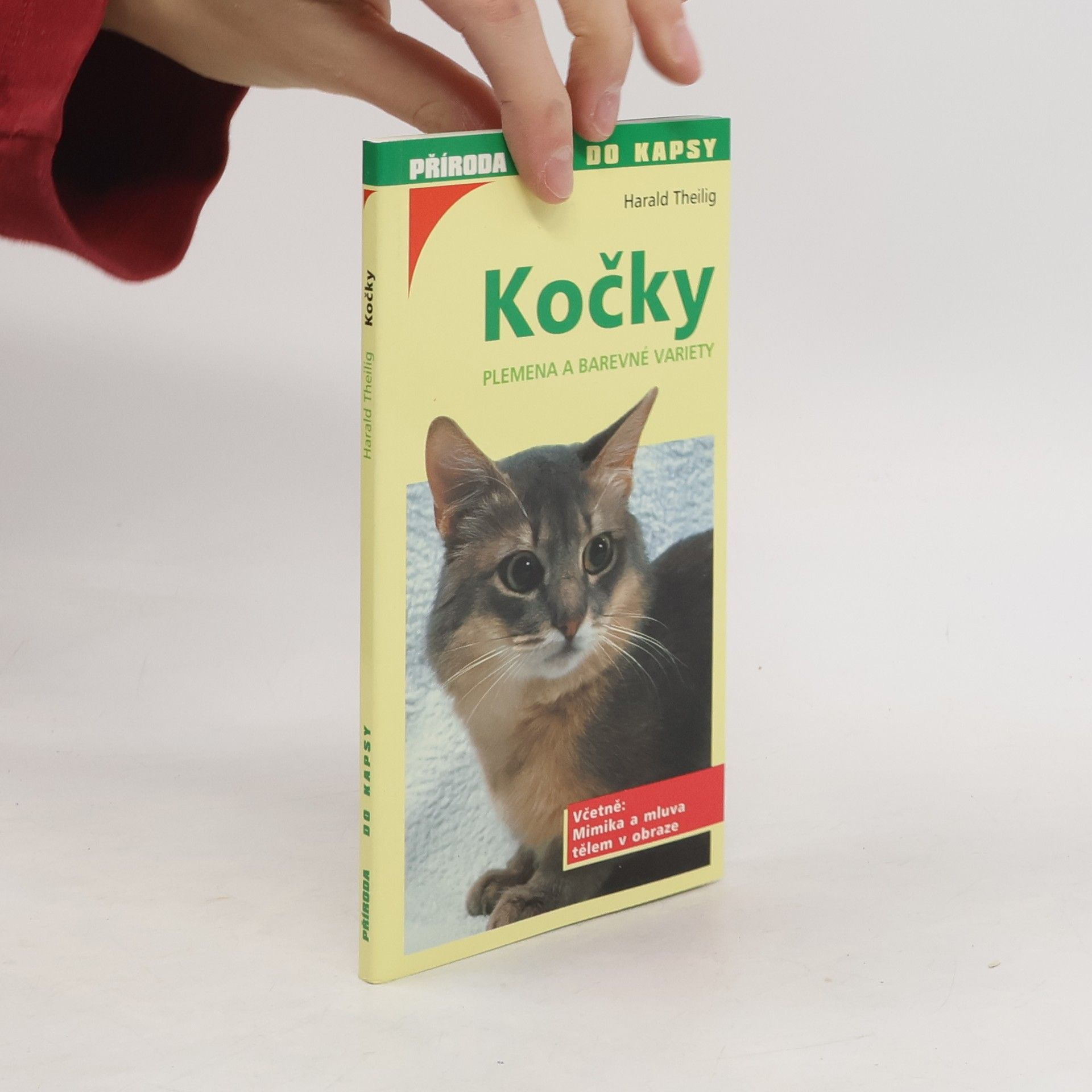 Harald Theilig Kočky