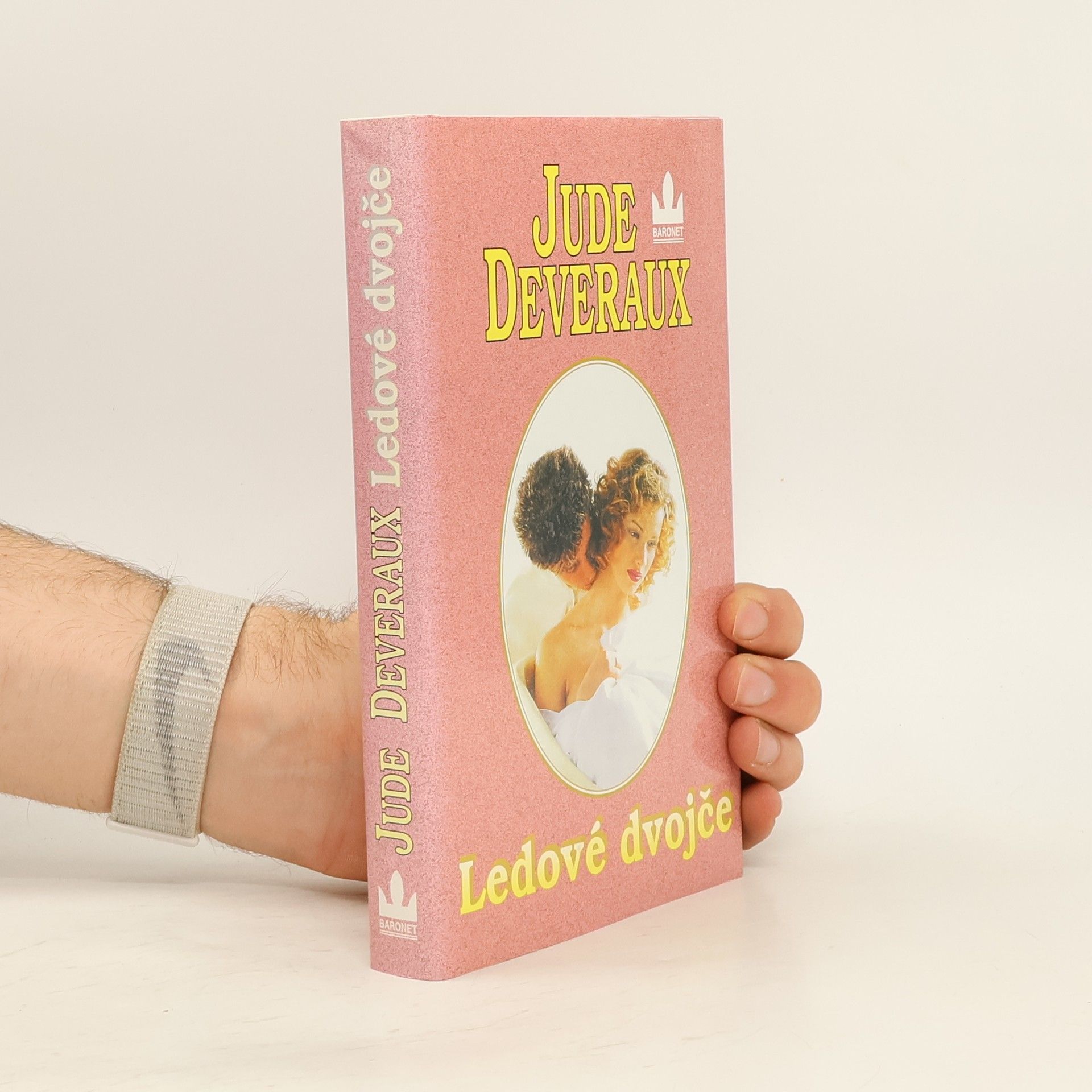 Jude Deveraux Ledové dvojče