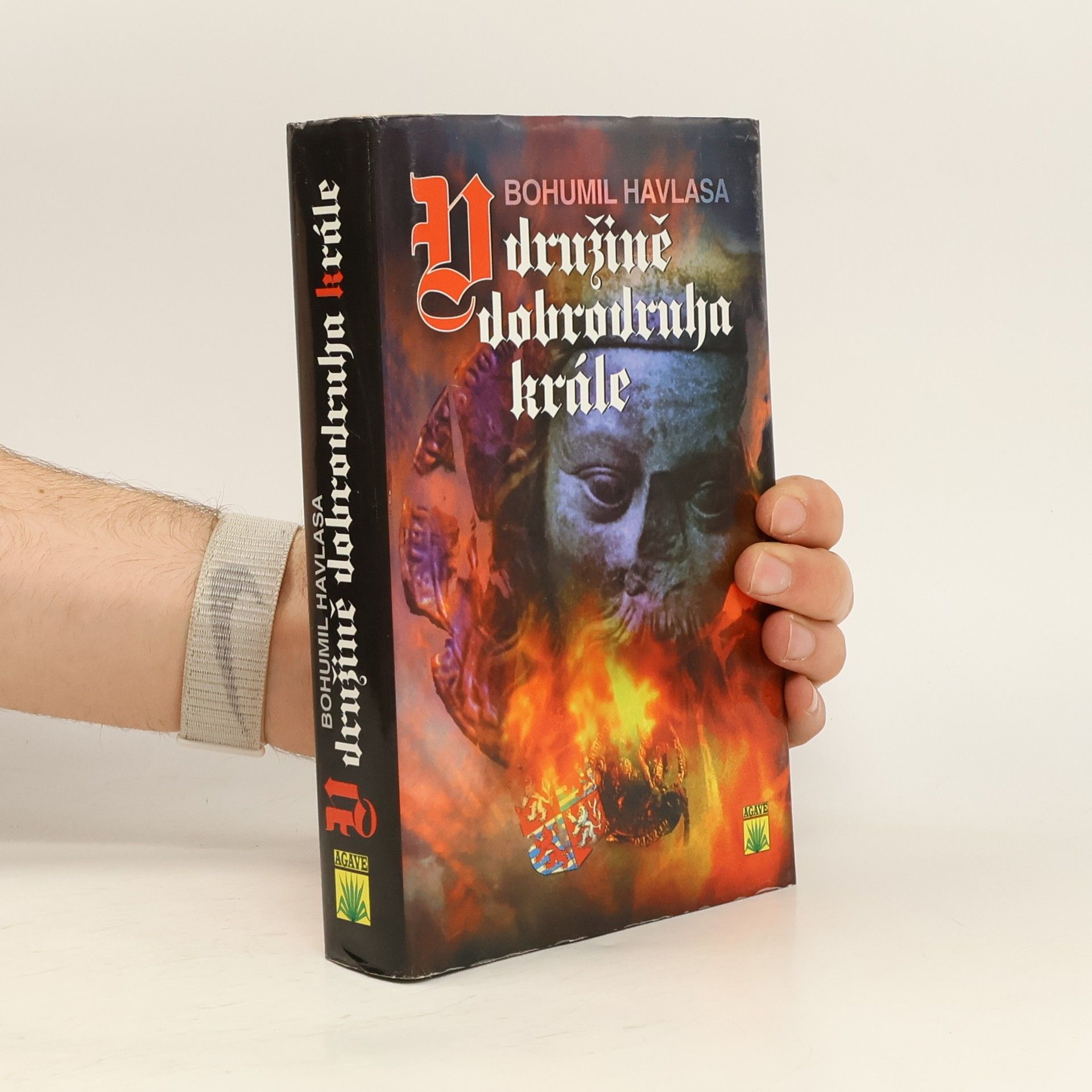 Bohumil Havlasa V družině dobrodruha krále