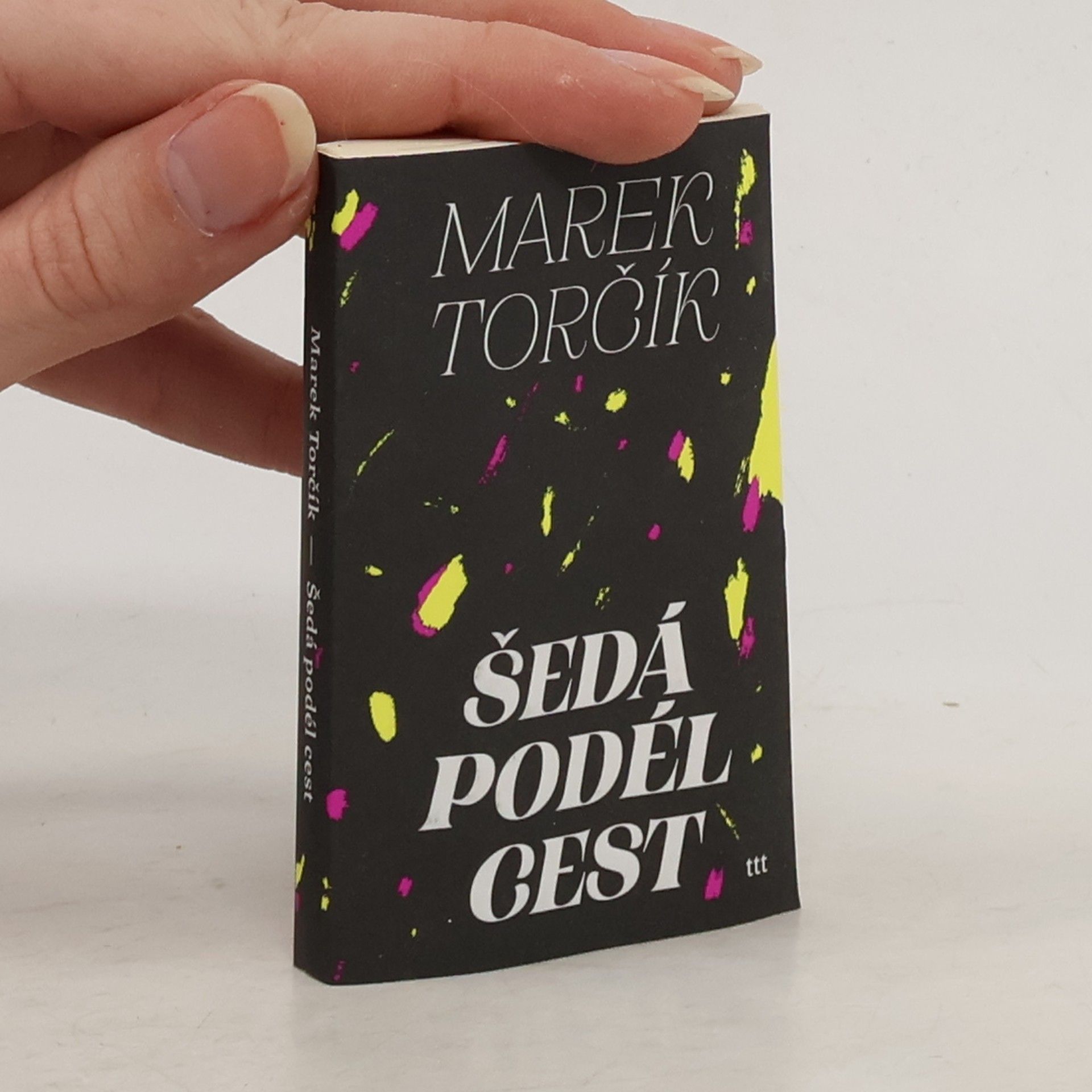 Marek Torčík Šedá podél cest